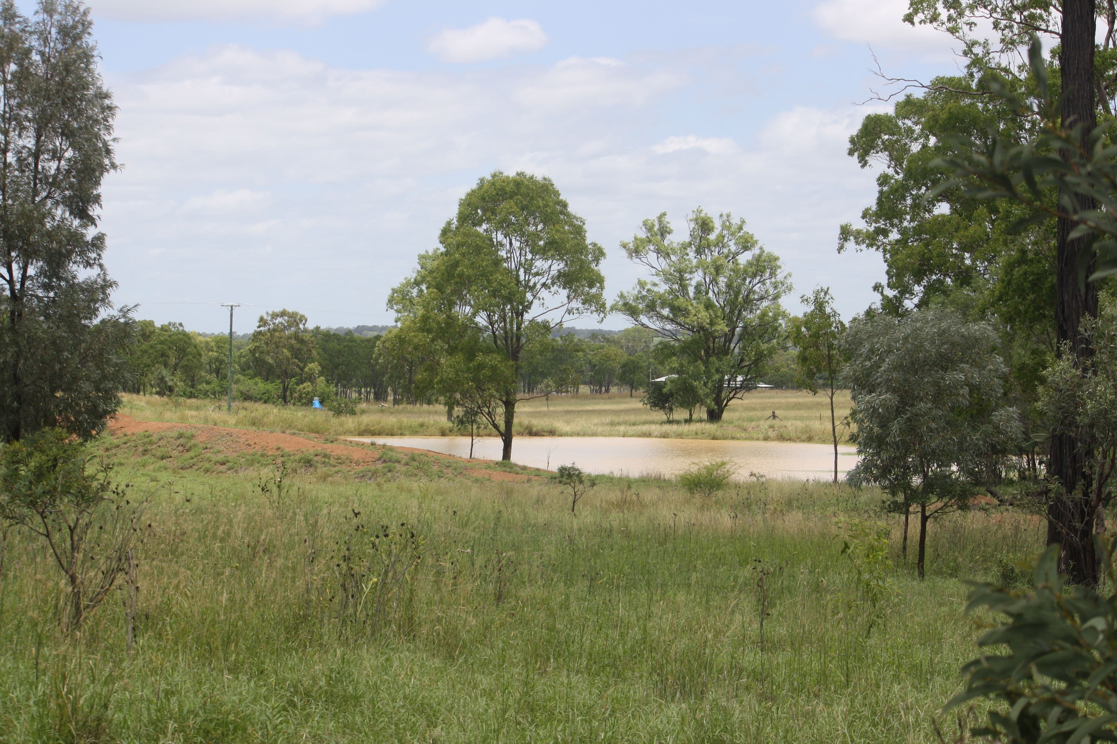112 Ezzy Road, Mundubbera QLD 4626, Mundubbera - Thumbnail 2