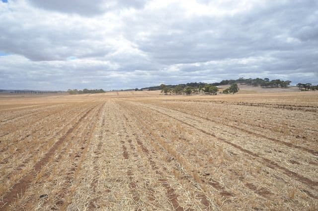 "NJ's" Tarnma Road, MARRABEL SA 5413, Marrabel - Thumbnail 5