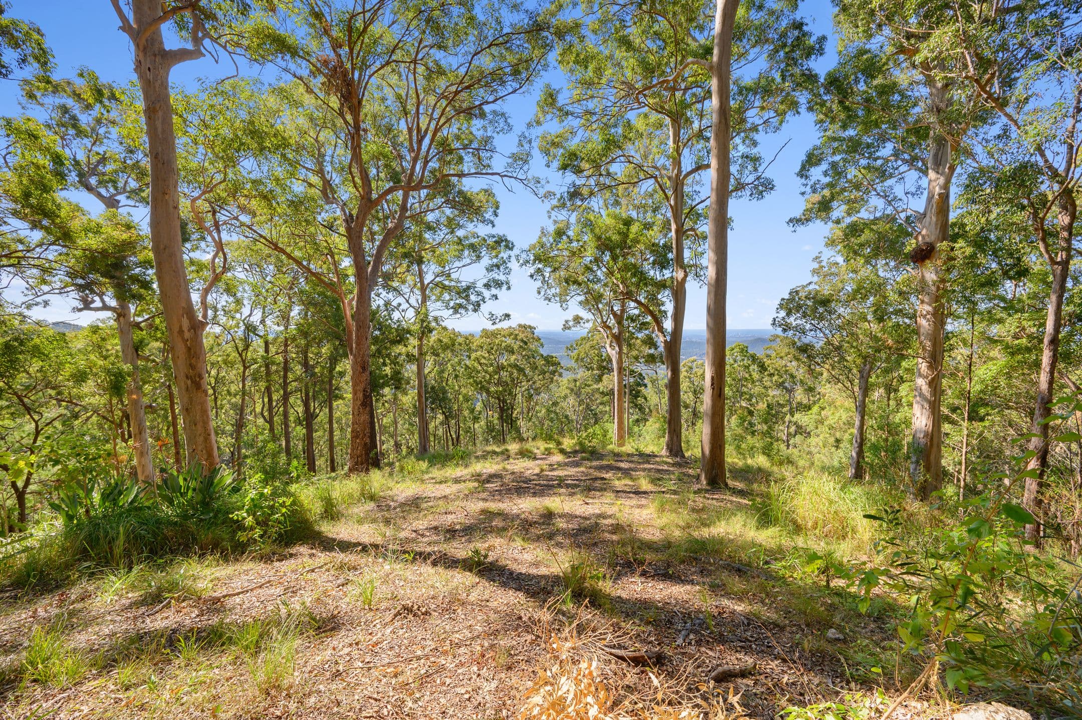 382 Henri Robert Drive, Clagiraba QLD 4211, Clagiraba - Thumbnail 4