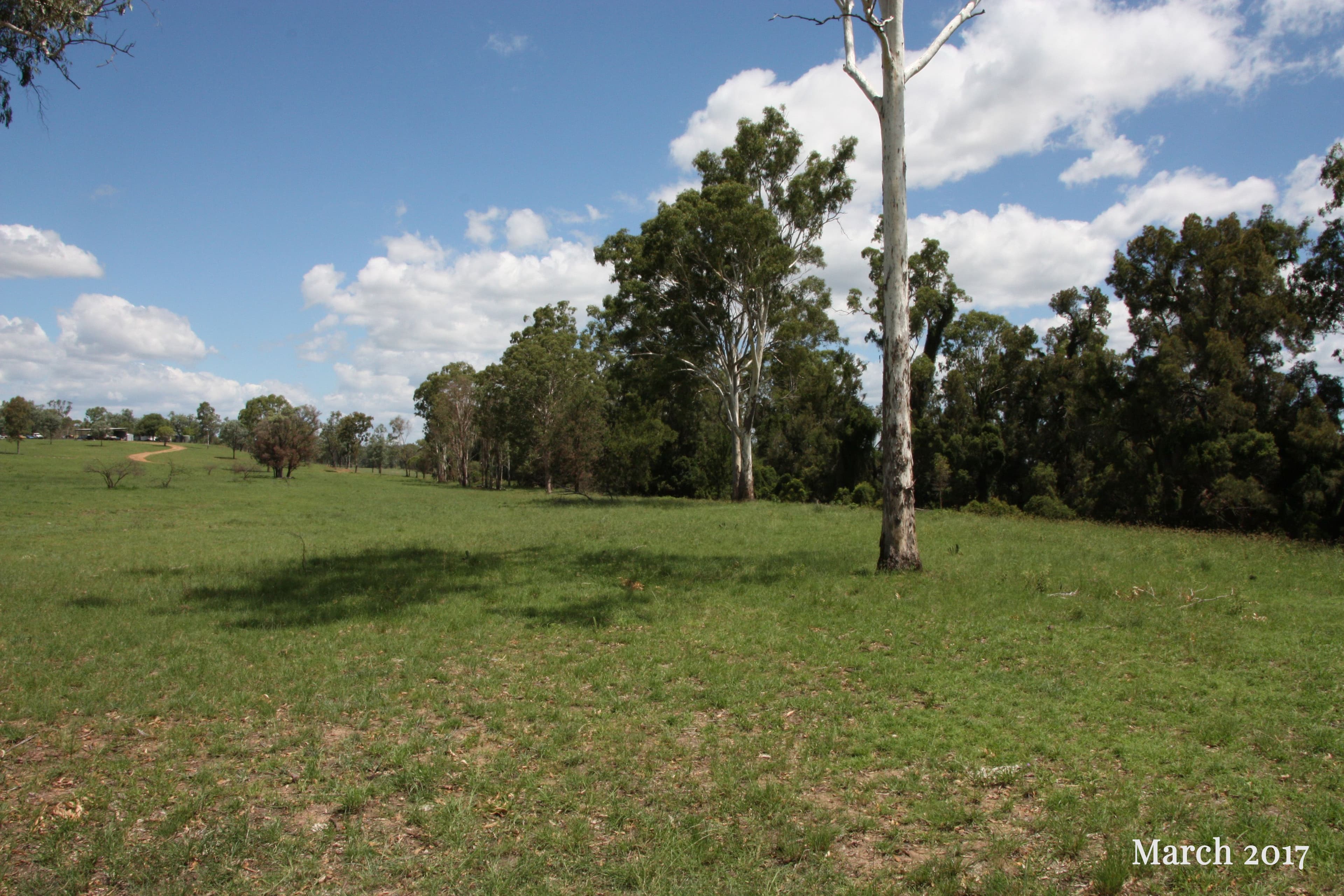 1421 Crowsdale Camboon Road, Prospect QLD 4715, Prospect - Thumbnail 4