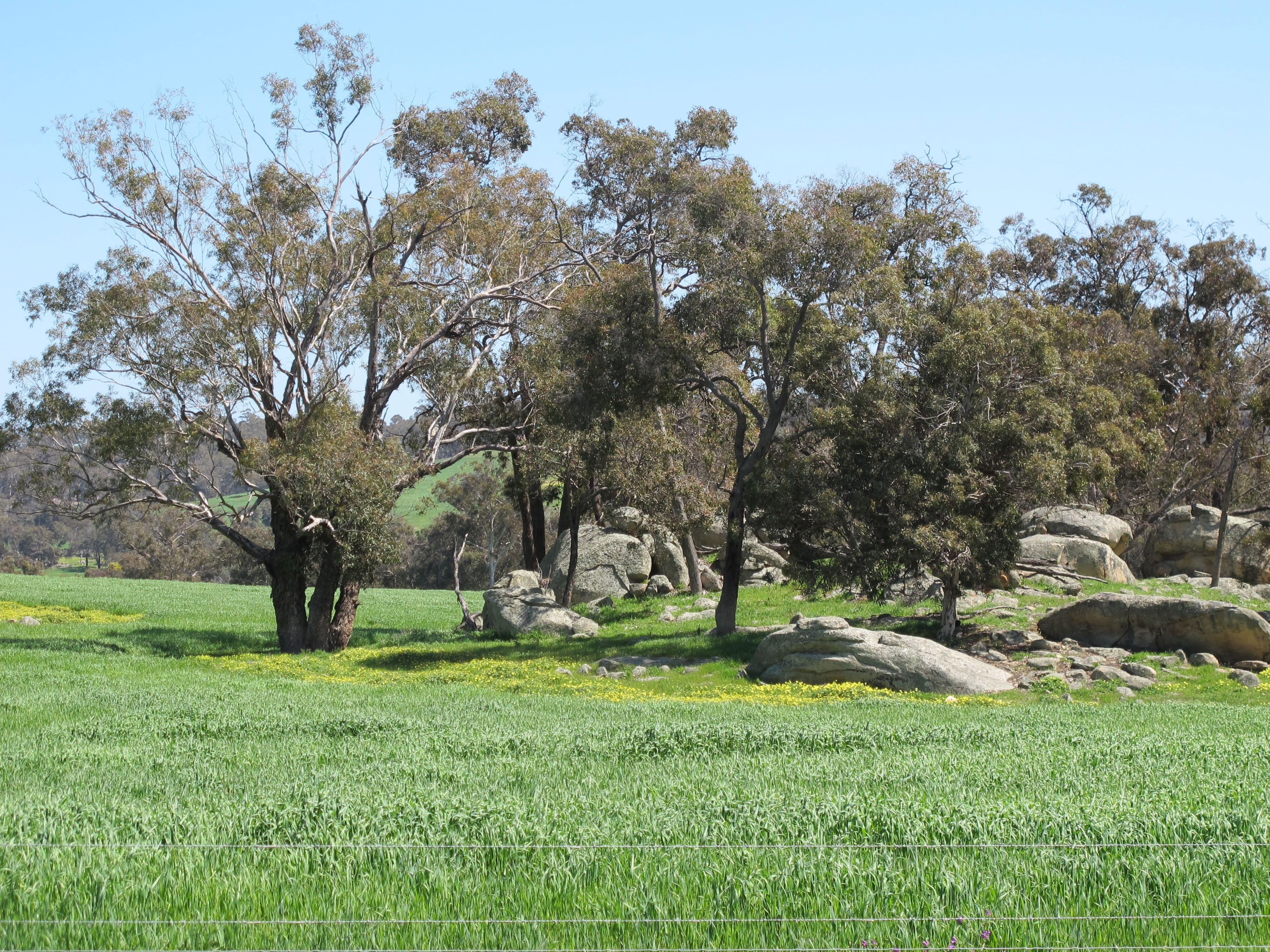 Springbank Farm, Julimar Road, Toodyay WA 6566, Toodyay - Thumbnail 8