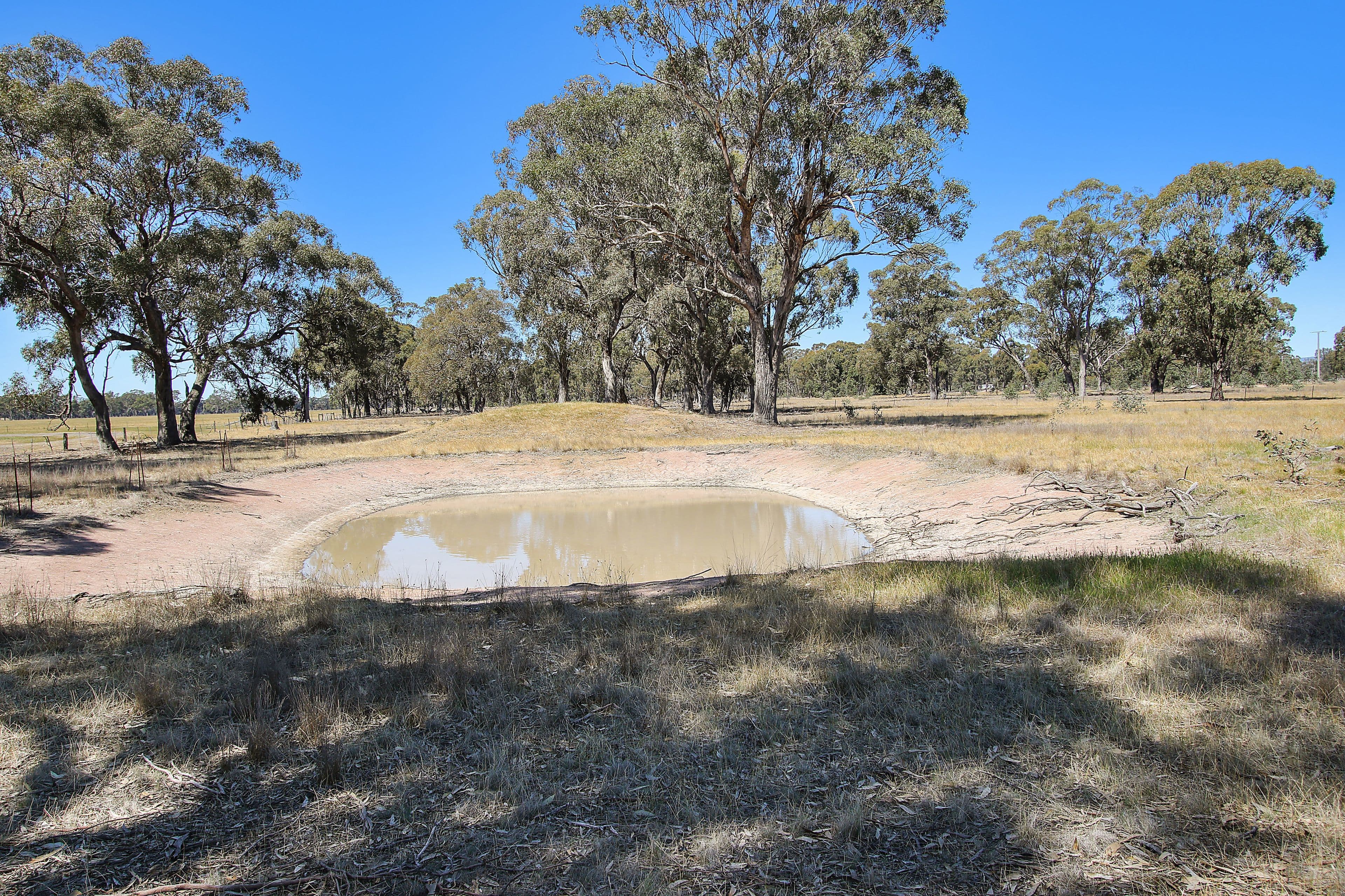 1697 Arcadia Two Chain Road, Euroa VIC 3666, Euroa - Thumbnail 4