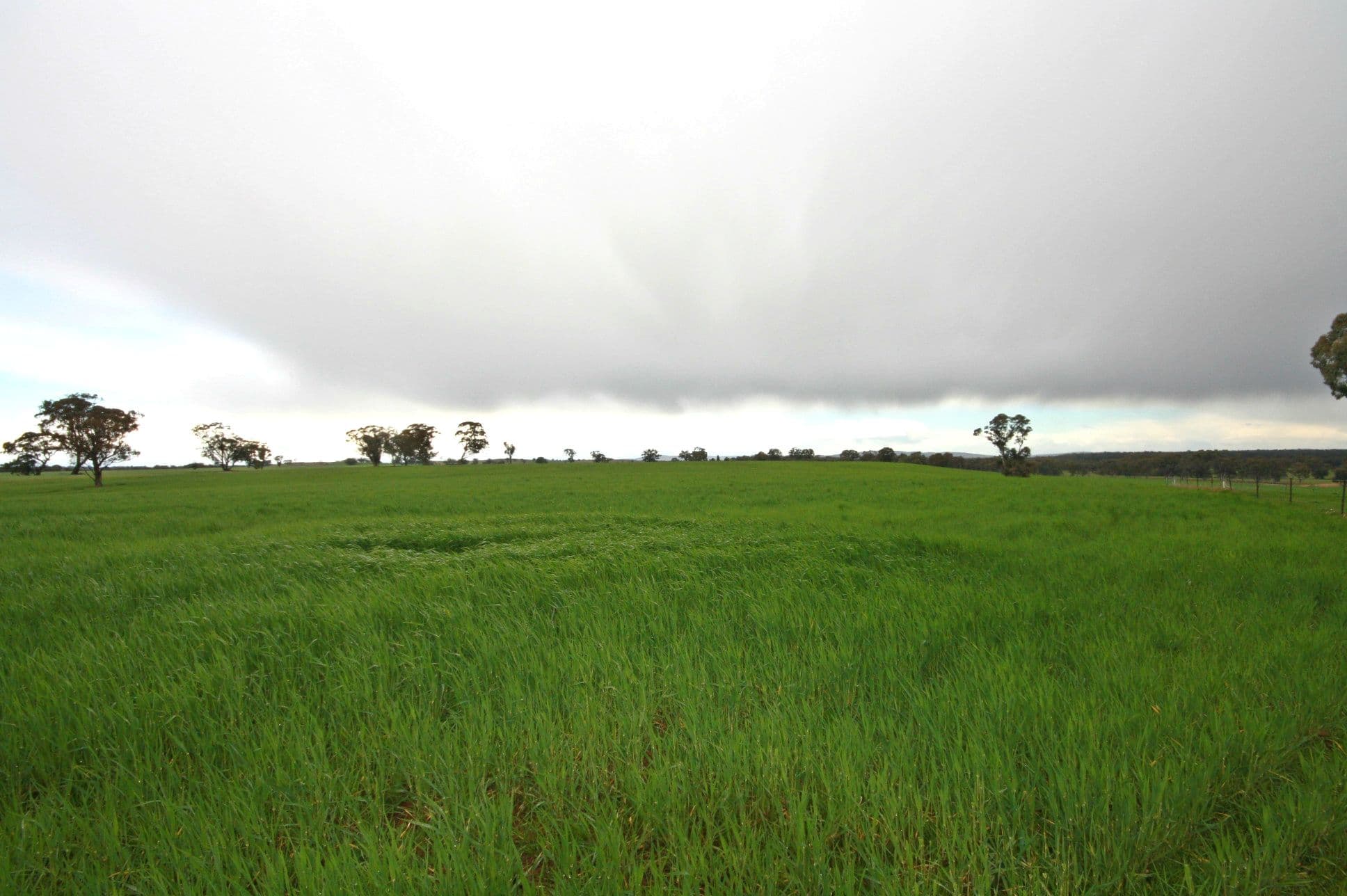 00 Kooreh Road, CARAPOOEE VIC 3477, Carapooee - Thumbnail 4
