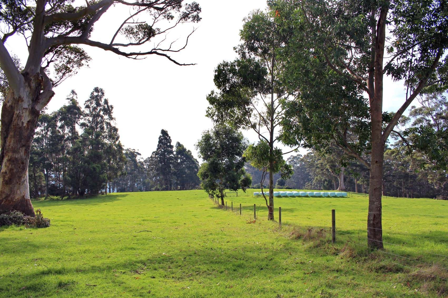 31 Pittam Way, Denmark WA 6333, Denmark - Thumbnail 2