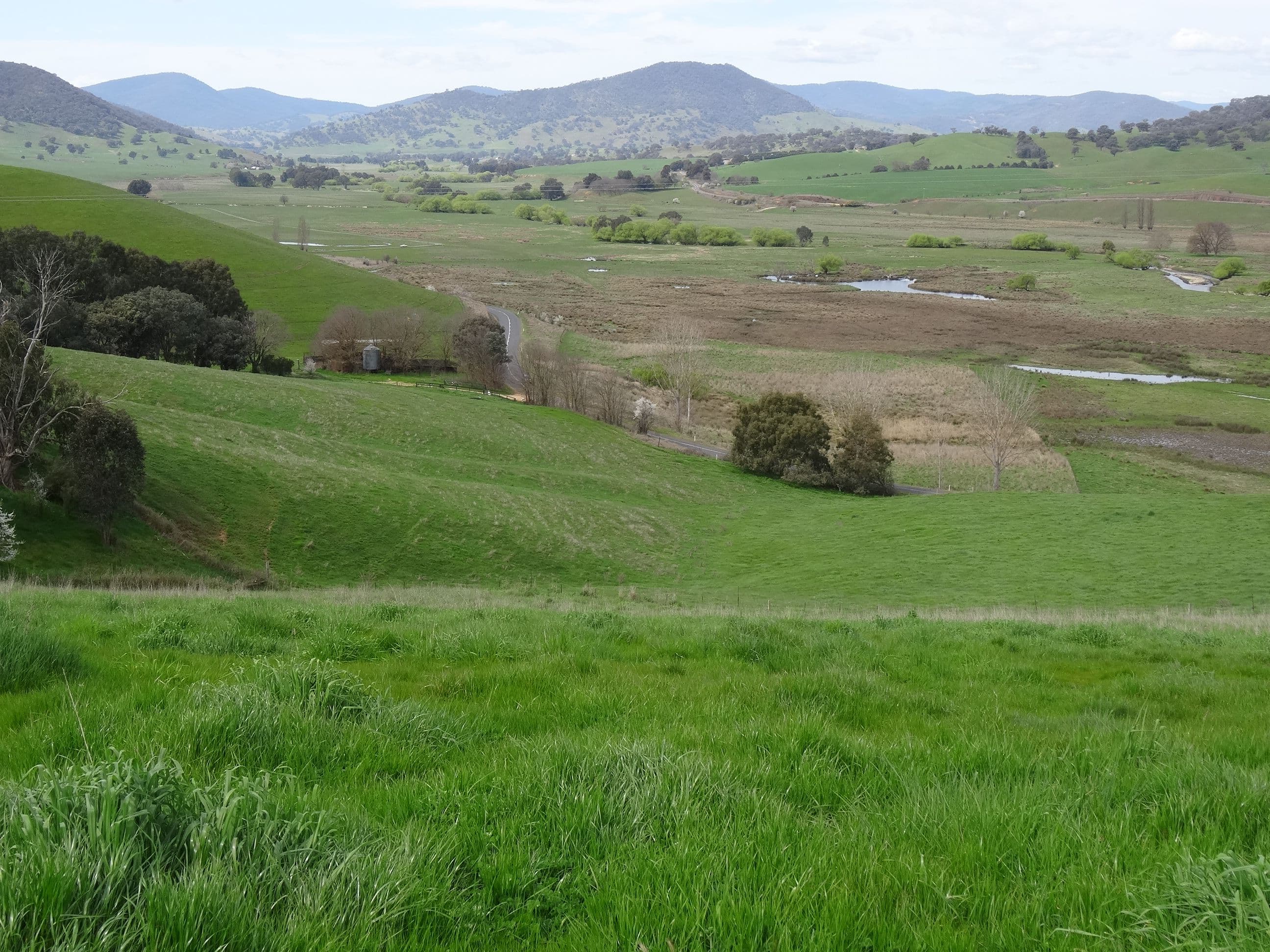 1916 Georges Creek Road, Tallangatta VIC 3700, Tallangatta - Thumbnail 3