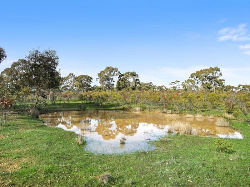 54 Hogan Lane, Landsborough VIC 3384, Landsborough - Thumbnail 5