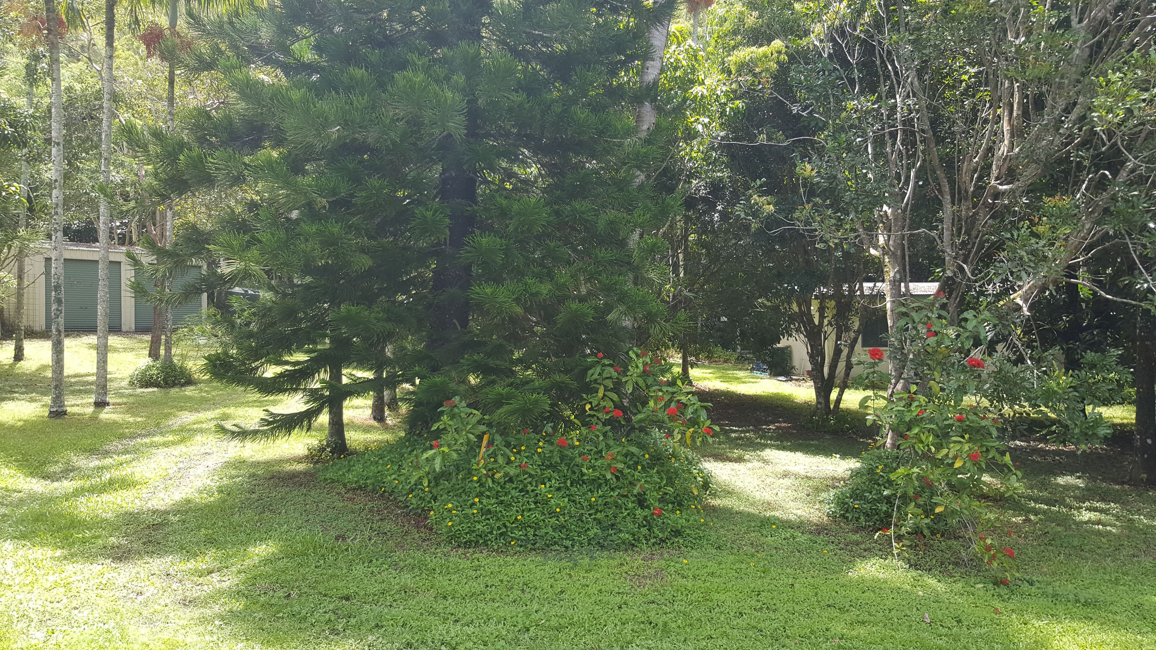 40 Grays Creek Terrace, Mowbray QLD 4877, Mowbray - Thumbnail 2