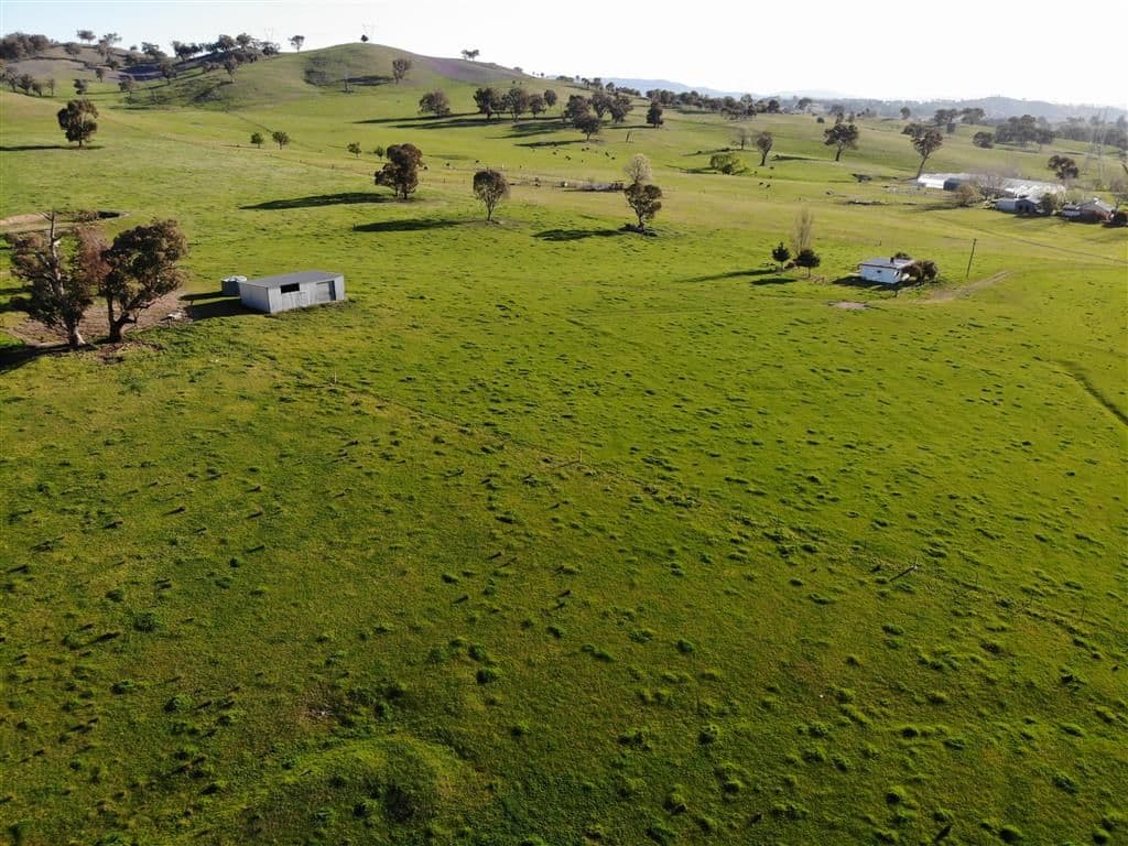 Bombowlee Avenue, Tumut - Thumbnail 3