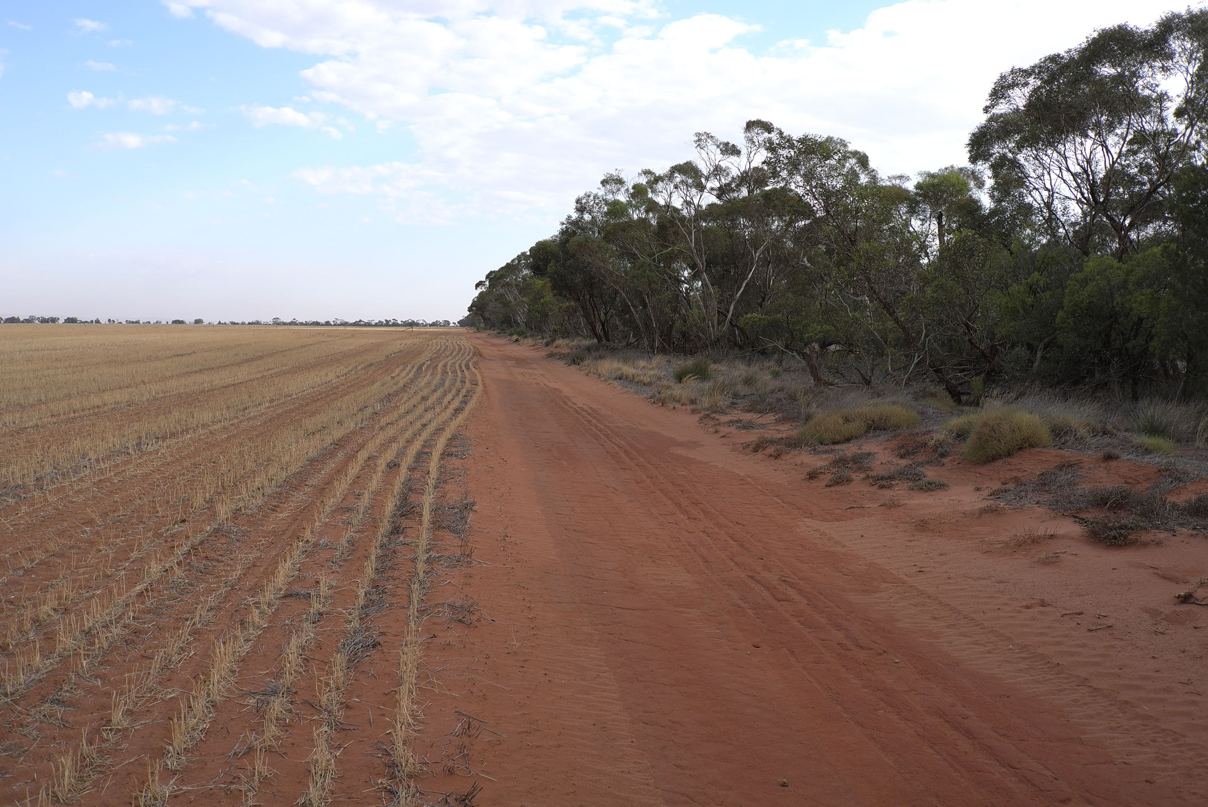 Heaths Road, Boorga NSW 2652, Boorga - Thumbnail 5