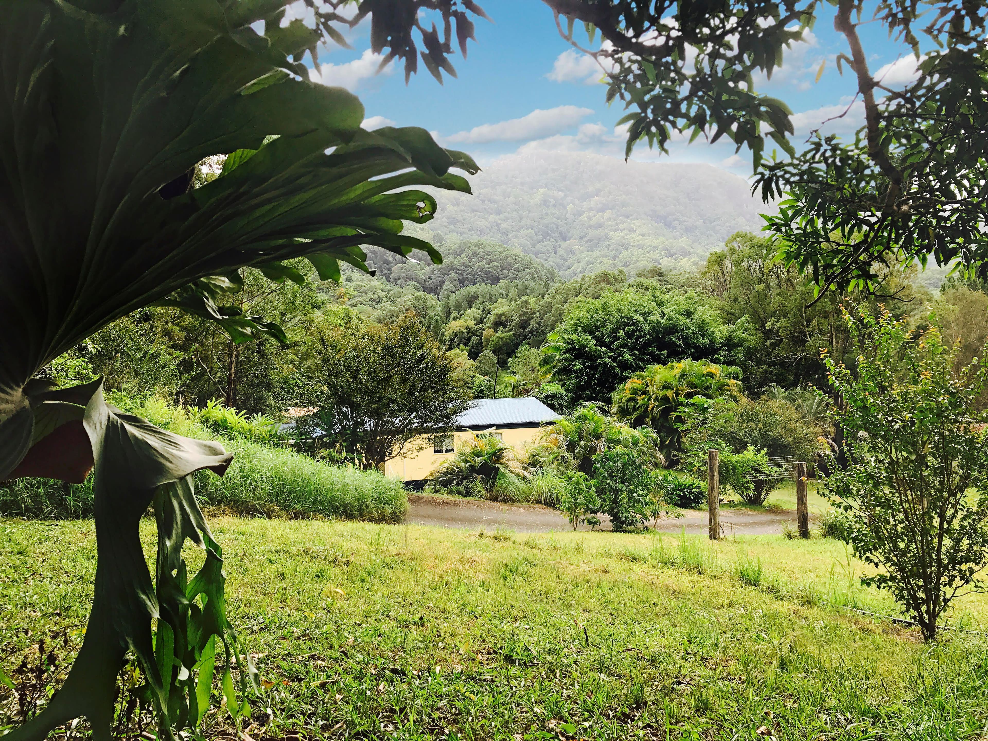 1381 Currumbin Creek Road, Currumbin Valley QLD 4223, Currumbin Valley - Thumbnail 8