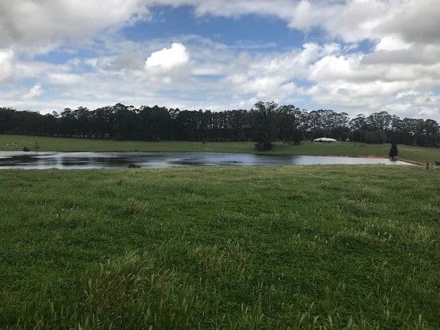 West Manjimup, Waugh Road, MANJIMUP WA 6258, Manjimup - Thumbnail 6