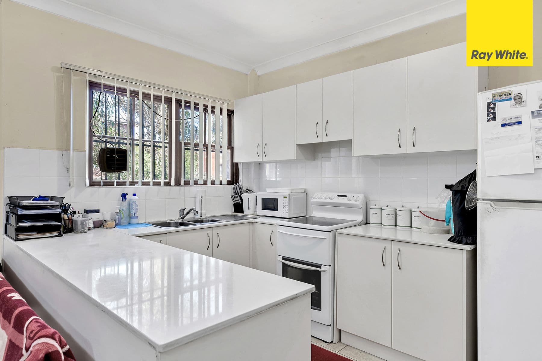 1079-1081 Canterbury Road, Wiley Park NSW 2195, Wiley Park - Thumbnail 2
