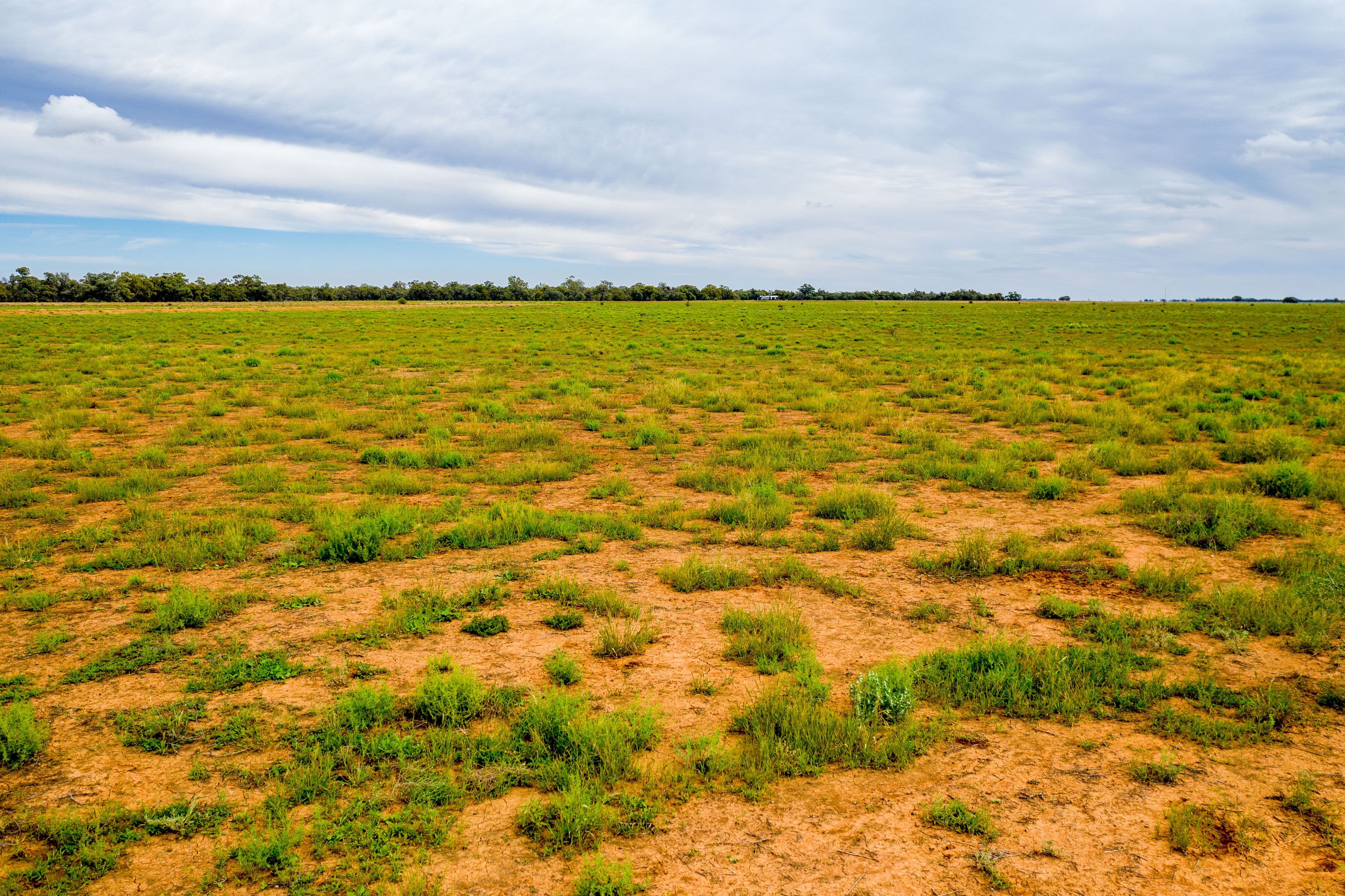3297 Roto Road, Hillston NSW 2675, Hillston - Thumbnail 2