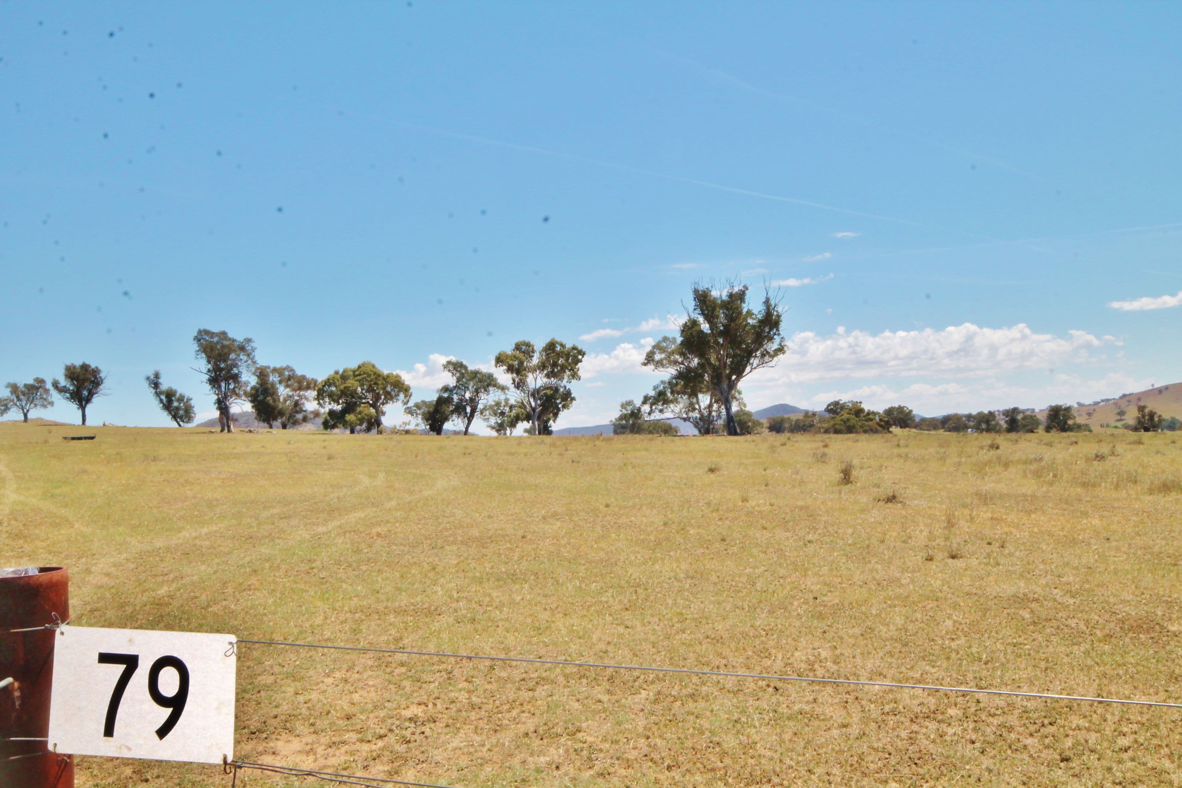 79 Dowling Drive Murringo via, Young NSW 2594, Young - Thumbnail 2