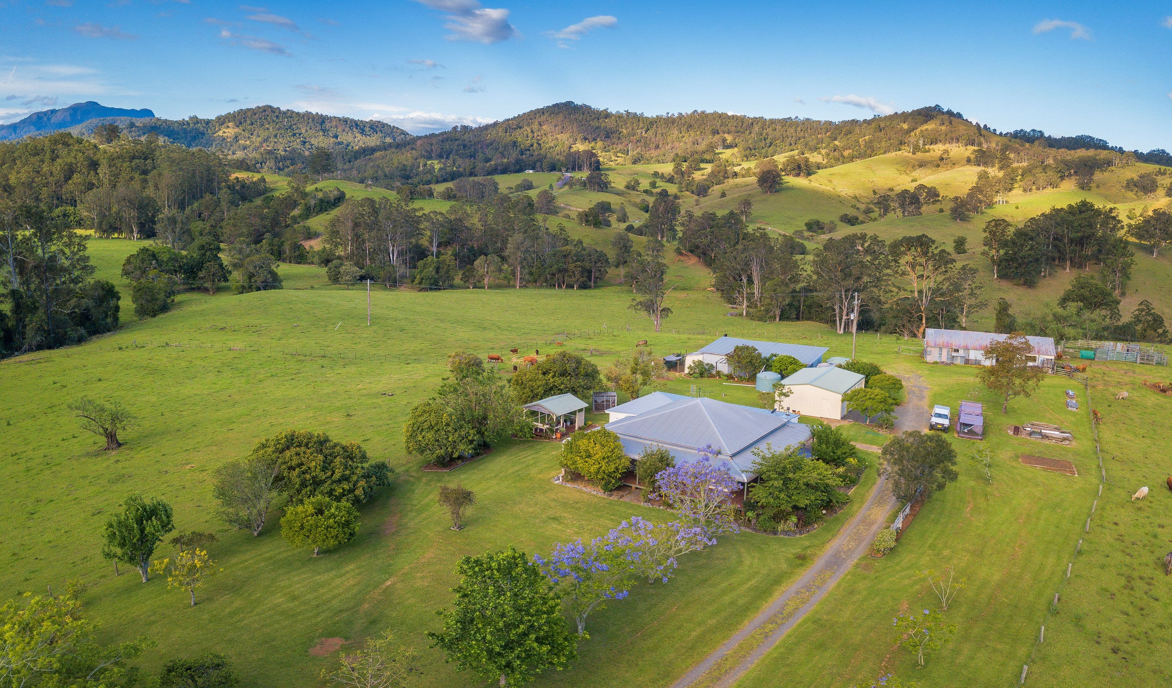 "Carinya" 916 Mooral Creek Road, Strathcedar NSW 2429, Strathcedar - Image 1