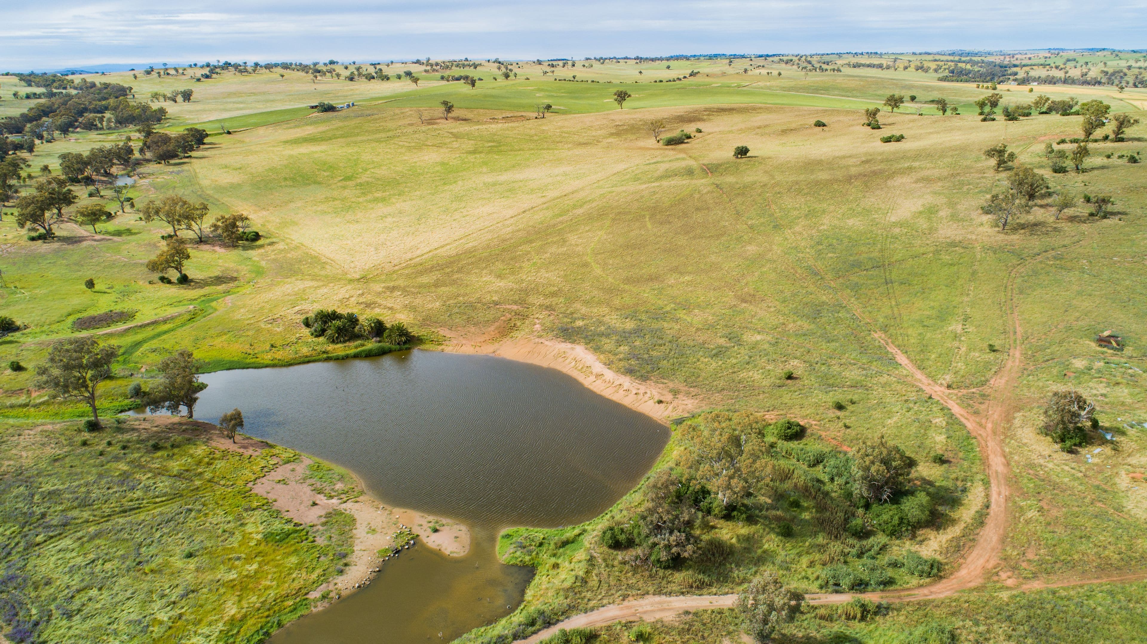 5919 Gundagai Road, Junee NSW 2663, Junee - Thumbnail 4