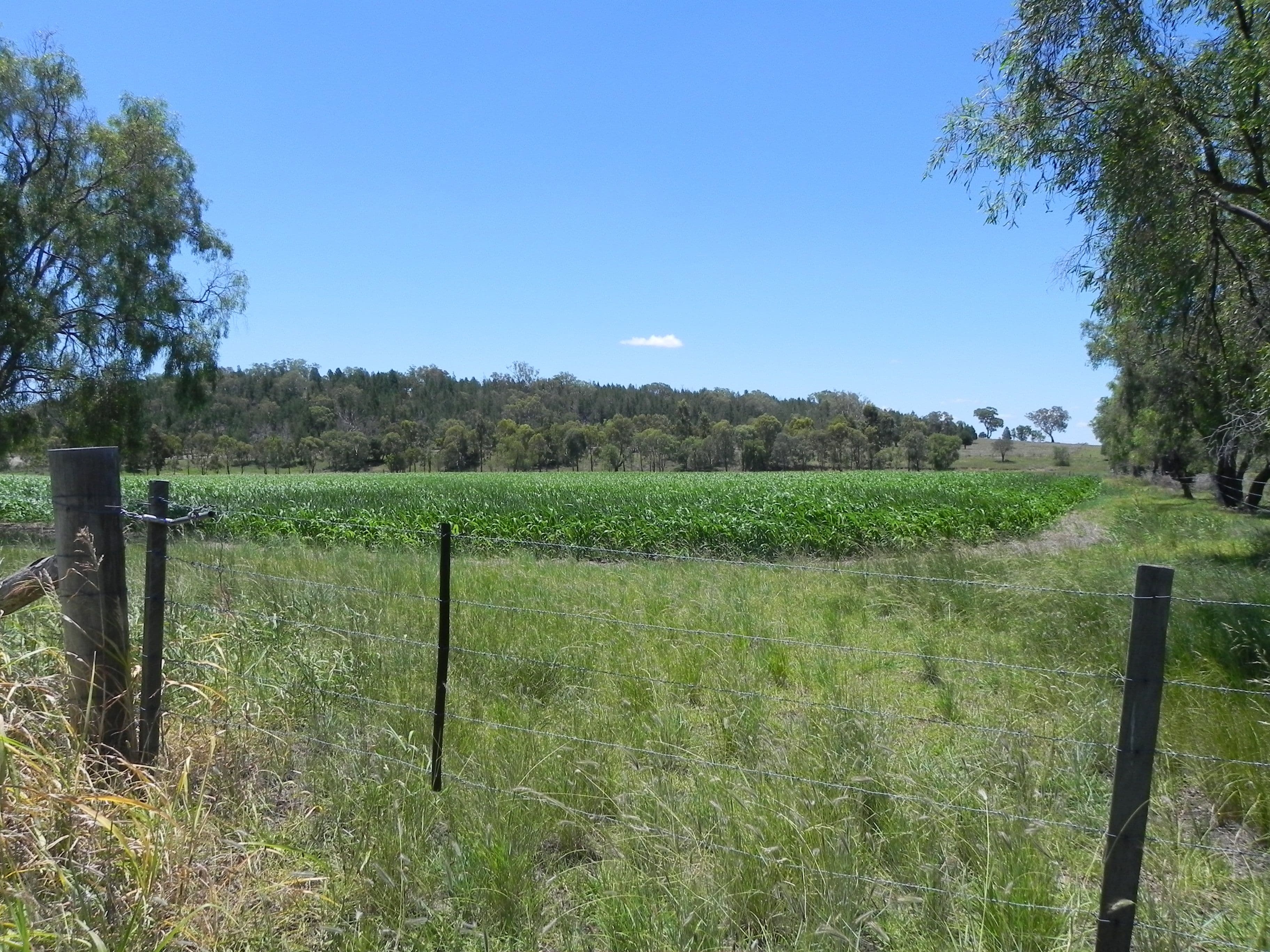 0 Wyangapinni Road, Stoneleigh, Pittsworth QLD 4356, Pittsworth - Thumbnail 5