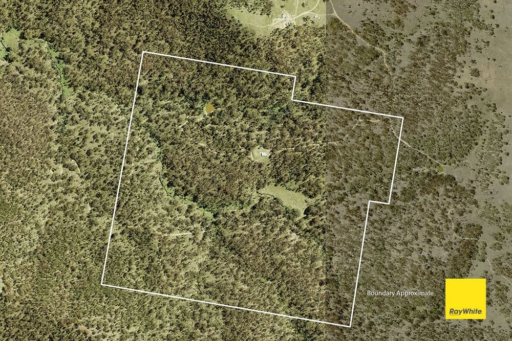 250 Spring Creek Road, Bungendore NSW 2621, Bungendore - Thumbnail 4