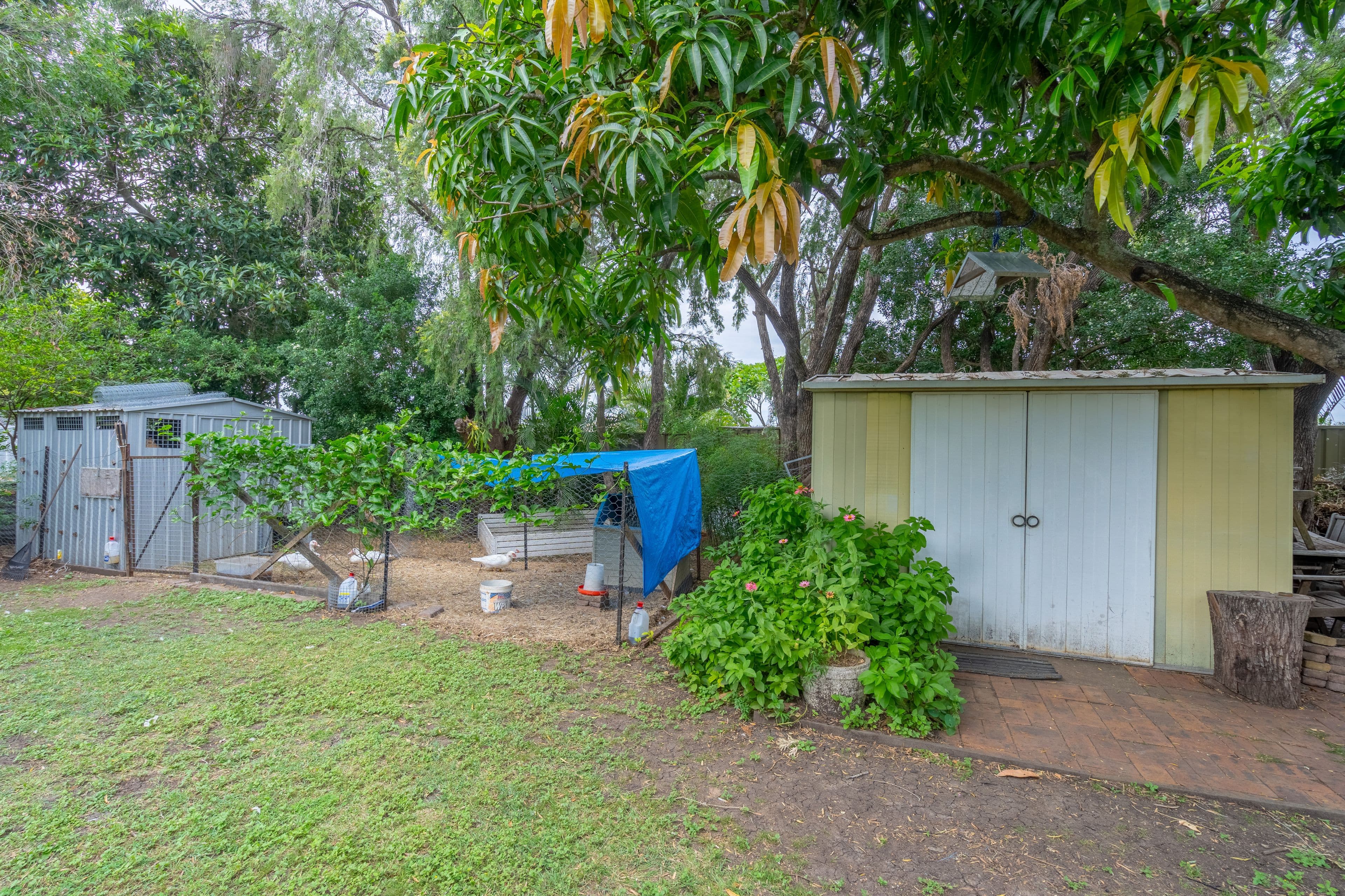 32 McGrath Lane, Booval QLD 4304, Booval - Thumbnail 8