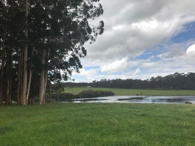 West Manjimup, Waugh Road, MANJIMUP WA 6258, Manjimup - Thumbnail 8