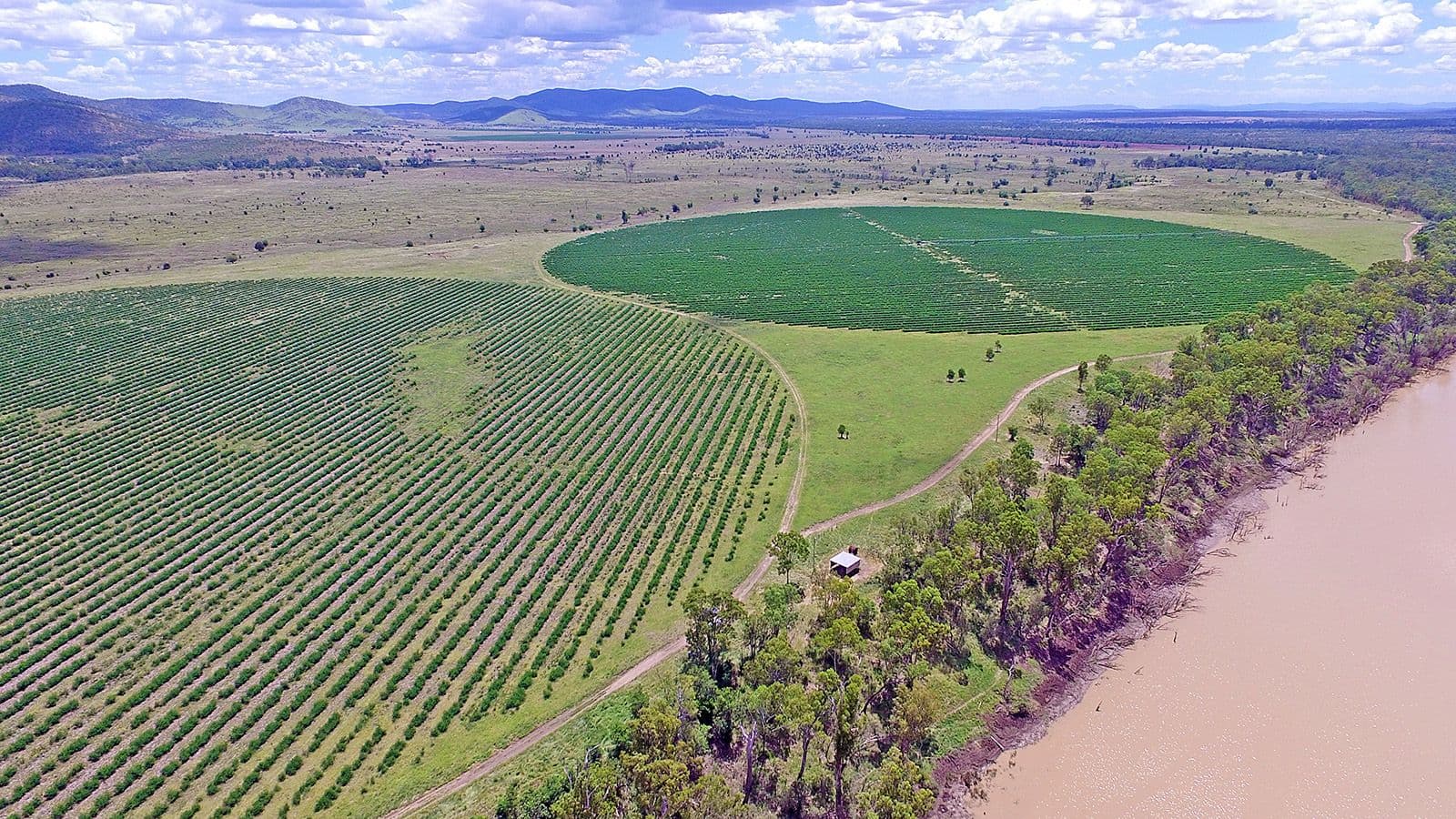 "Comanche"1820 Comanche Road, Glenroy QLD 4702, Glenroy - Thumbnail 7