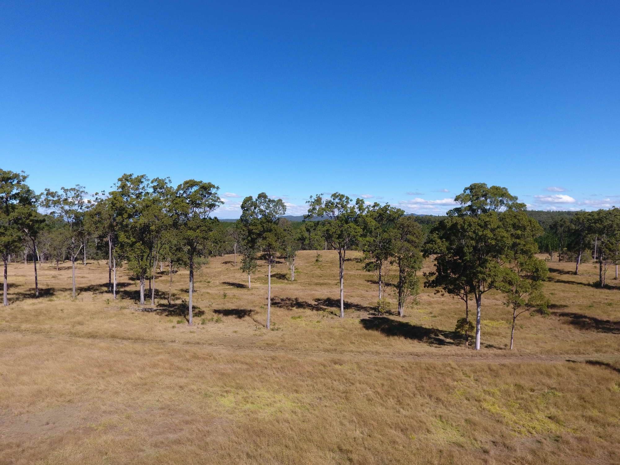 Lot 194 Windsor Drive, Mount Hallen QLD 4312, Mount Hallen - Thumbnail 2