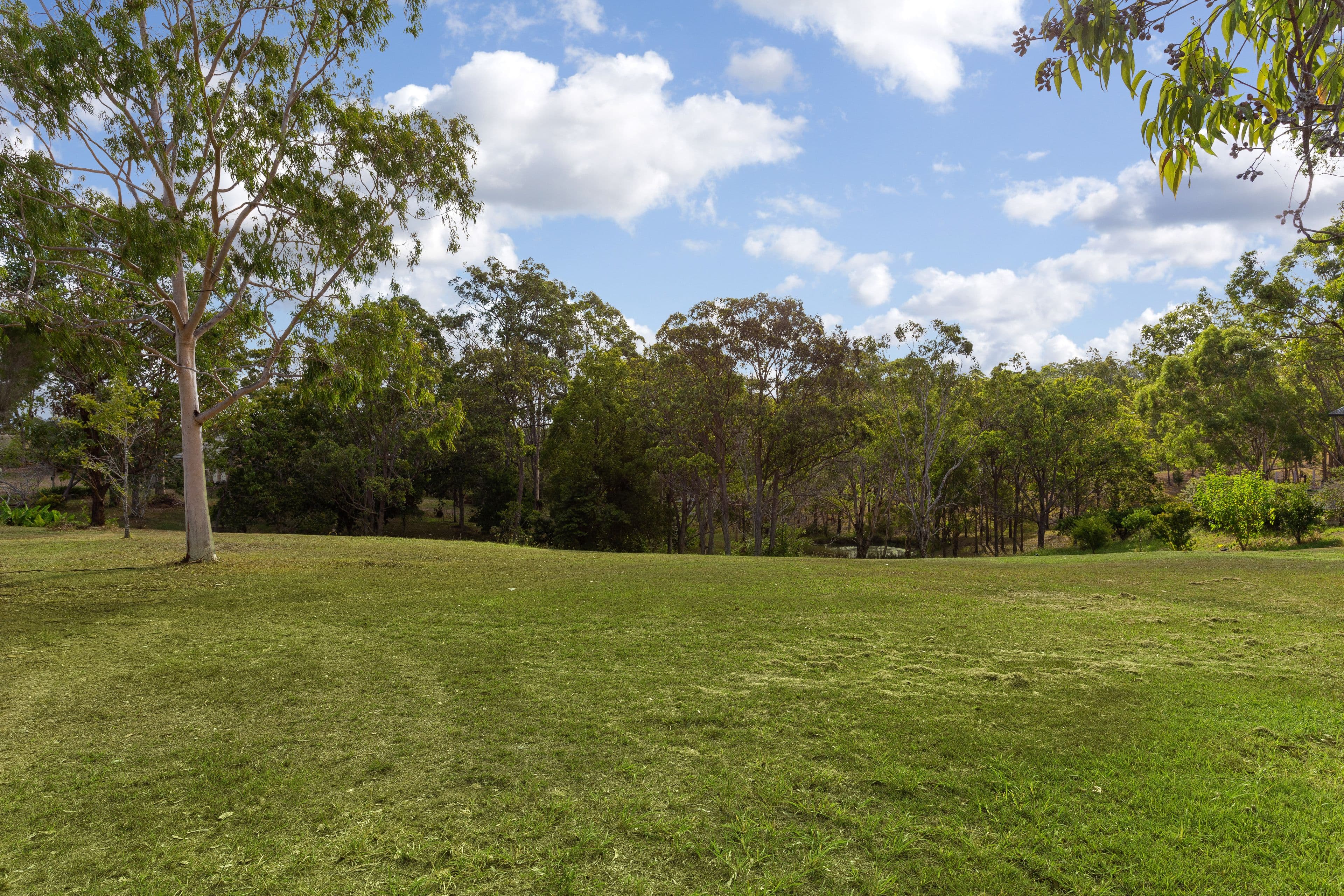 1 Kathryn Place, Taree NSW 2430, Taree - Thumbnail 6