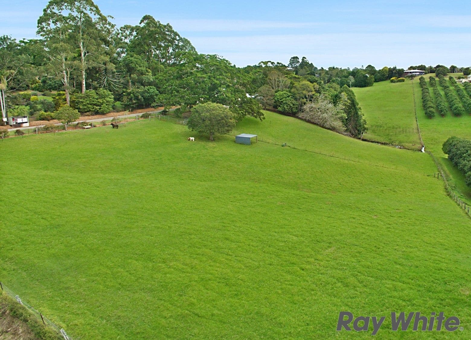 171 Burgum Road, North Maleny QLD 4552, North Maleny - Thumbnail 3