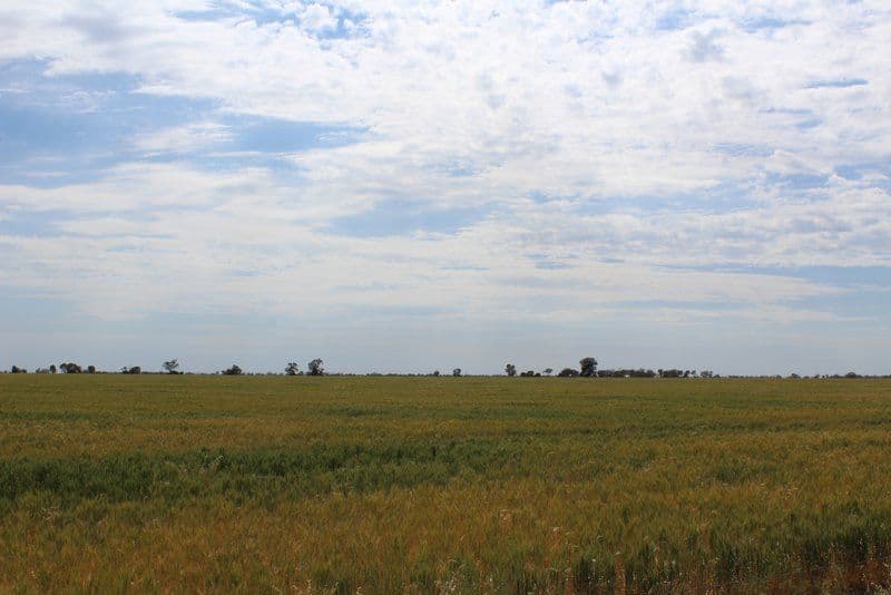 " Part Kyona", Moree NSW 2400, Moree - Image 1