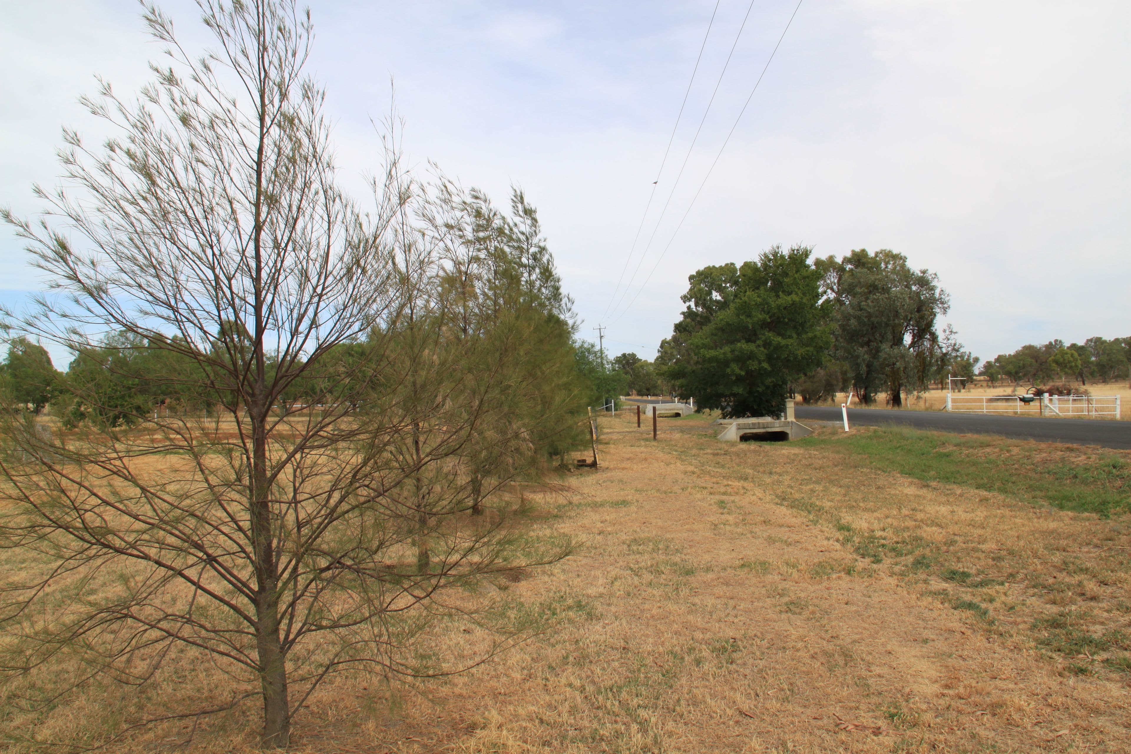 25 Heiligmans Lane, Tamworth NSW 2340, Tamworth - Thumbnail 3