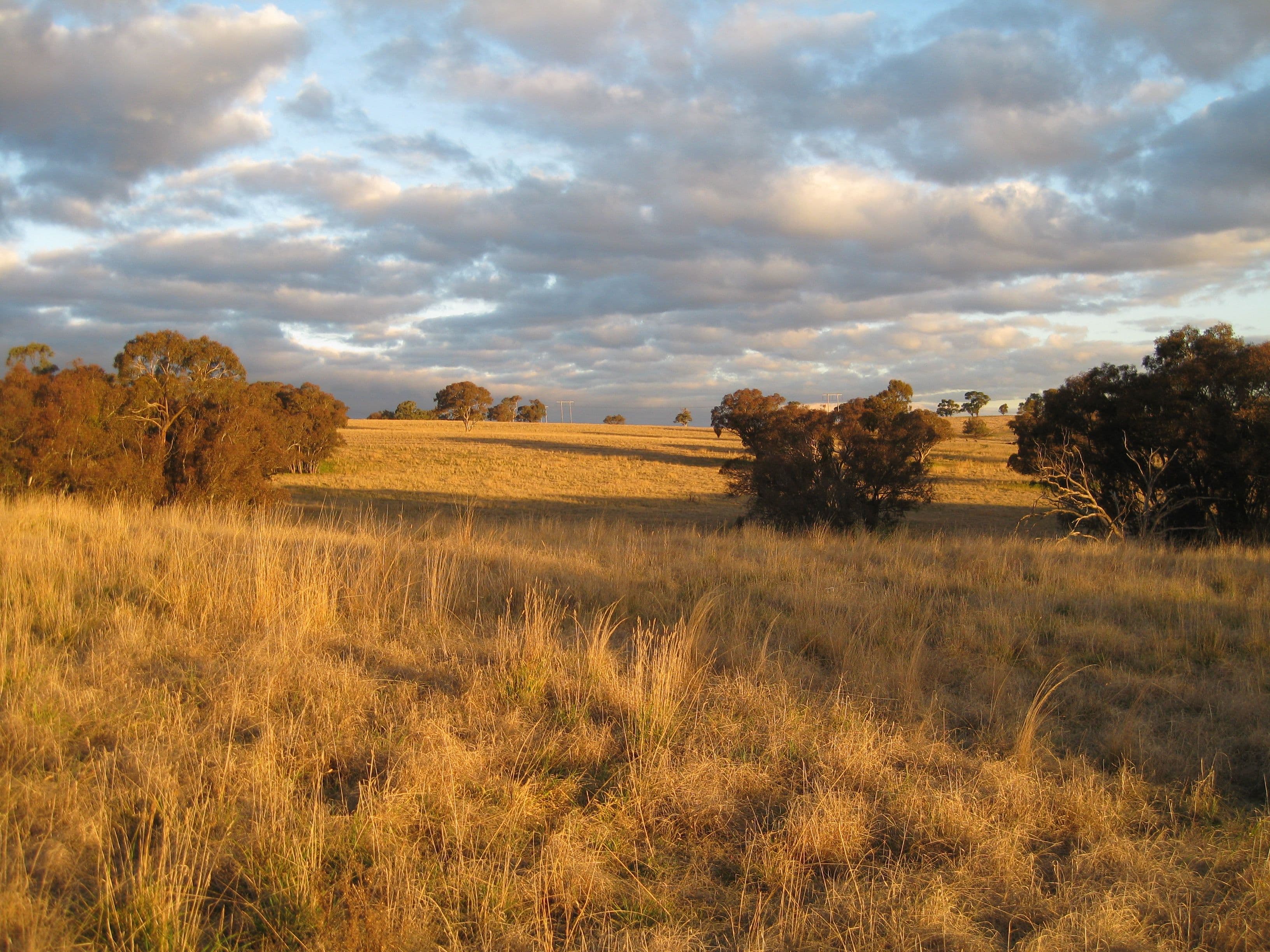 BATHURST NSW 2795, Bathurst - Thumbnail 8