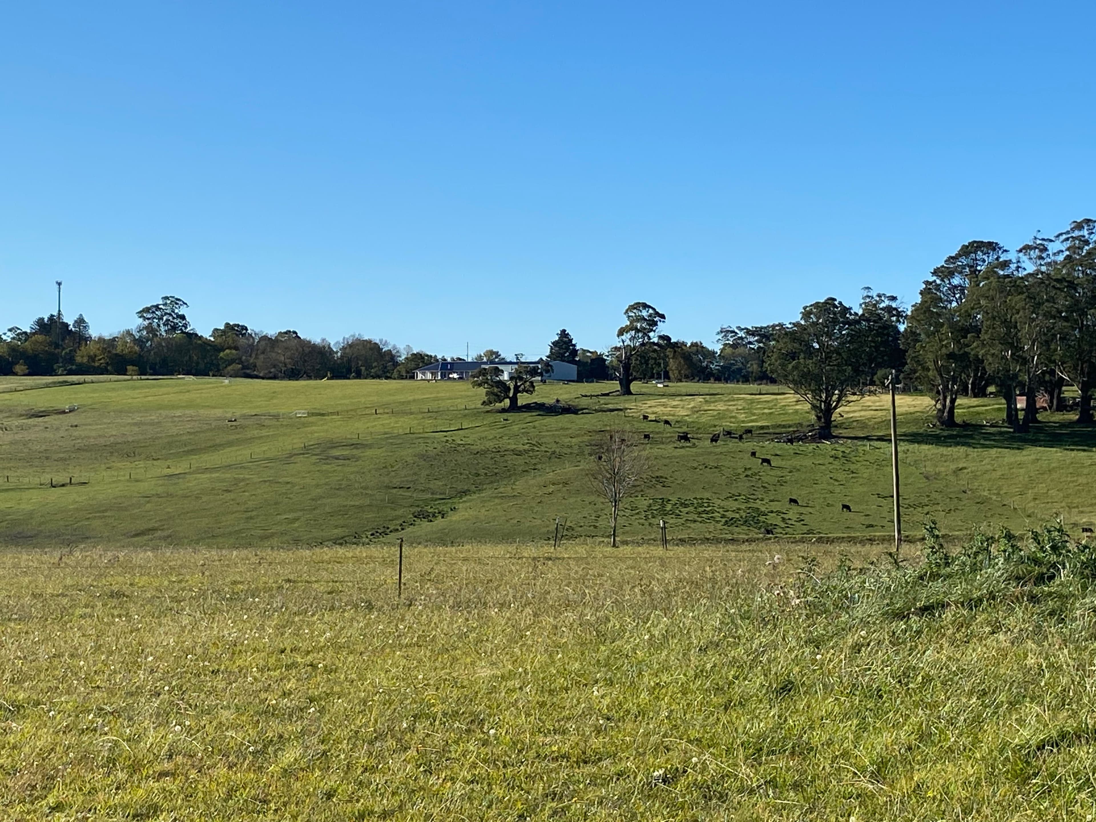 236 Bundanoon Road, Exeter NSW 2579, Exeter - Thumbnail 4