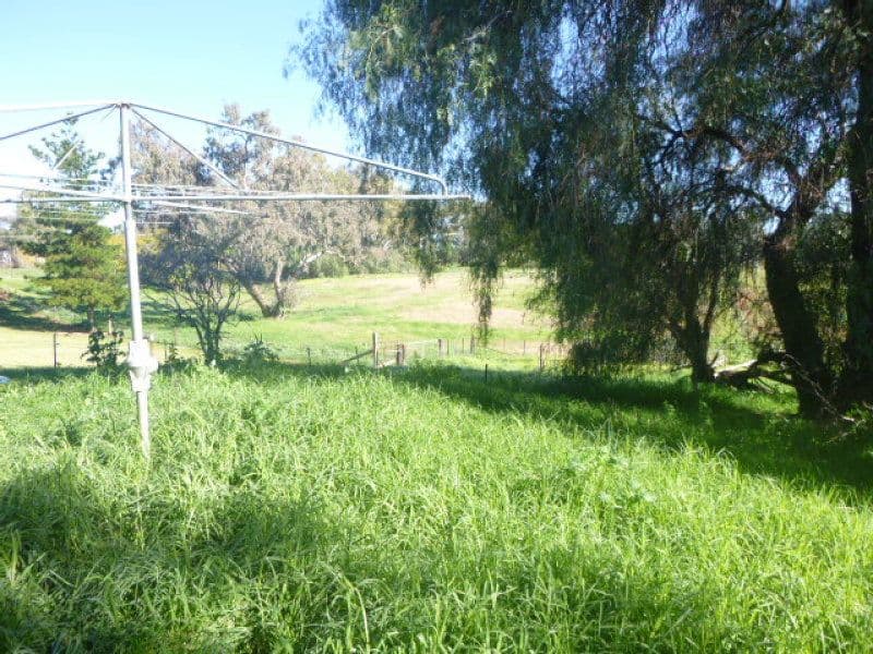 31 Nanima Street, Eugowra NSW 2806, Eugowra - Thumbnail 7