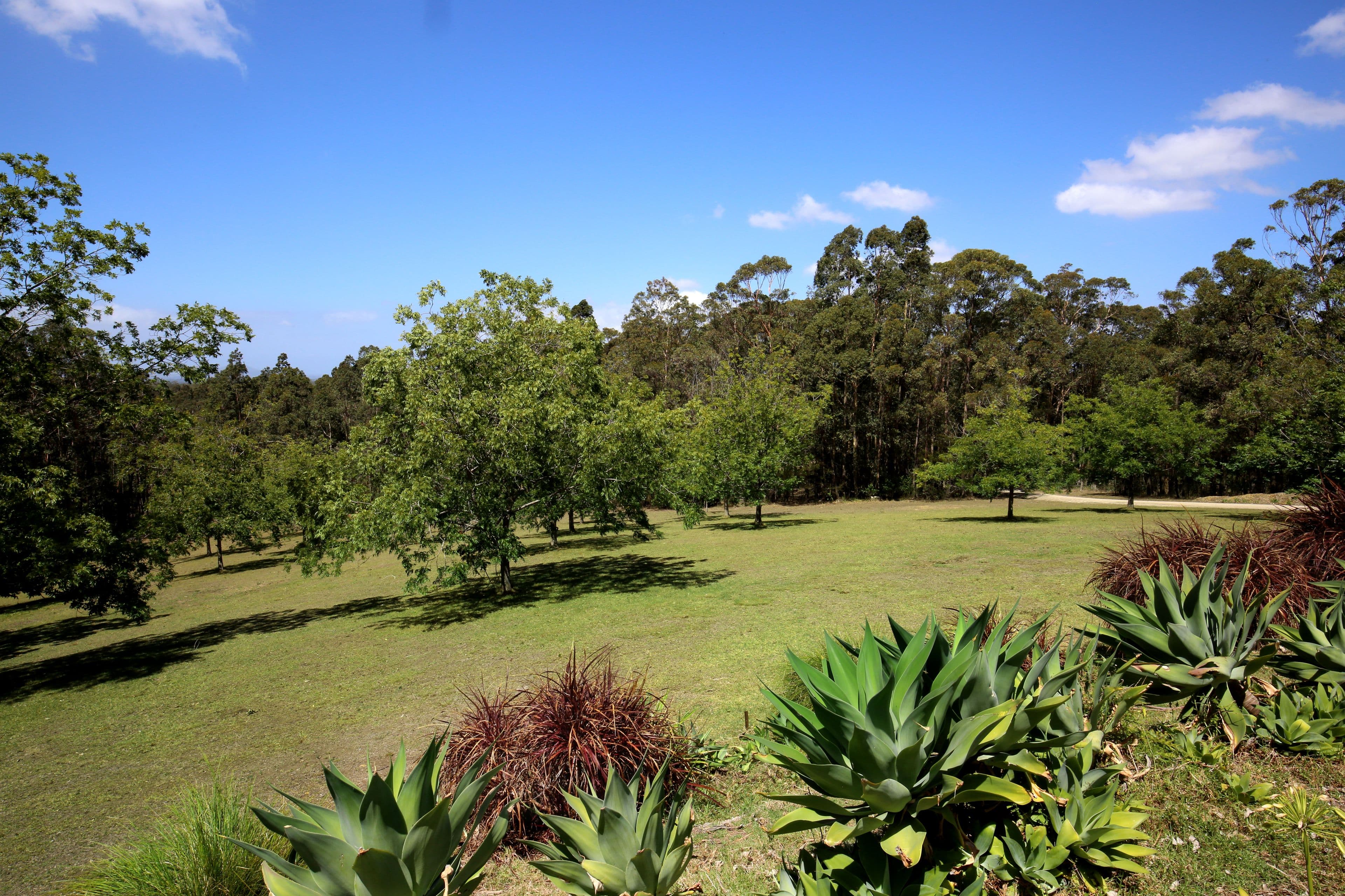 1446 Illaroo Road, Illaroo - Thumbnail 5