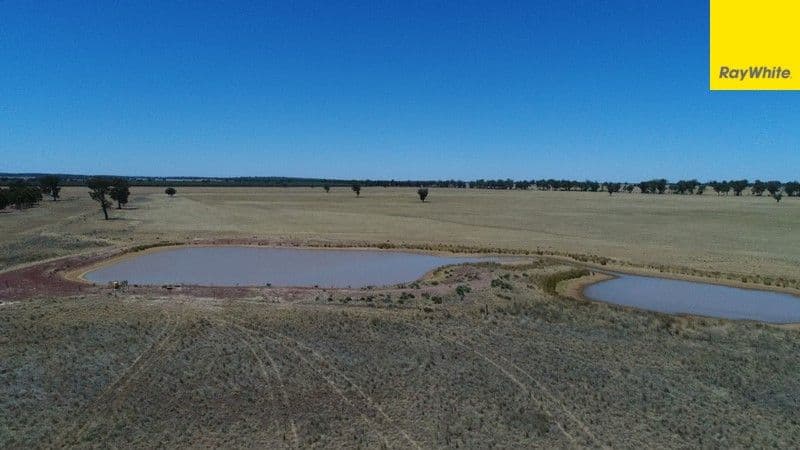 Argyle Downs 44 Woodford Road, BRUIE PLAINS NSW 2875, Bruie Plains - Thumbnail 8
