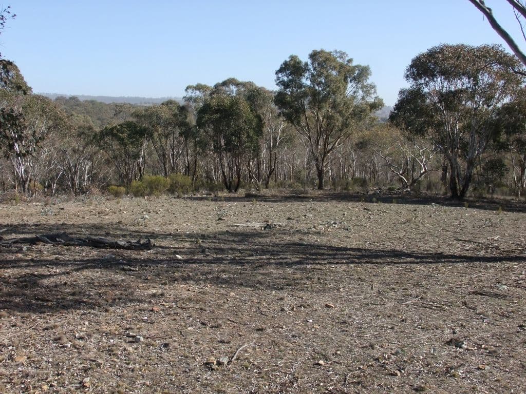 Bathurst NSW 2795, Bathurst - Thumbnail 6