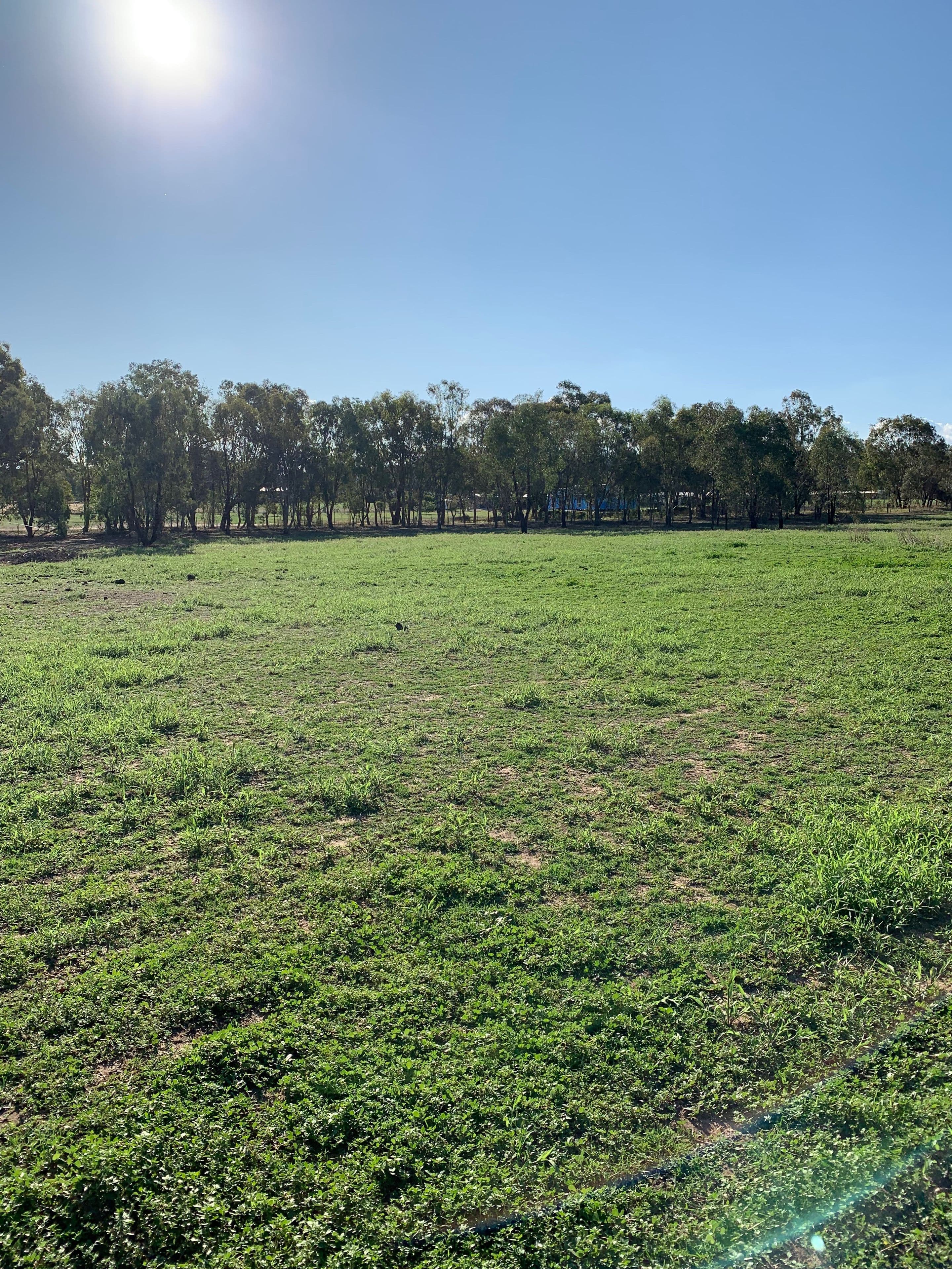 82A Thomas Street, Gerogery NSW 2642, Gerogery - Thumbnail 2
