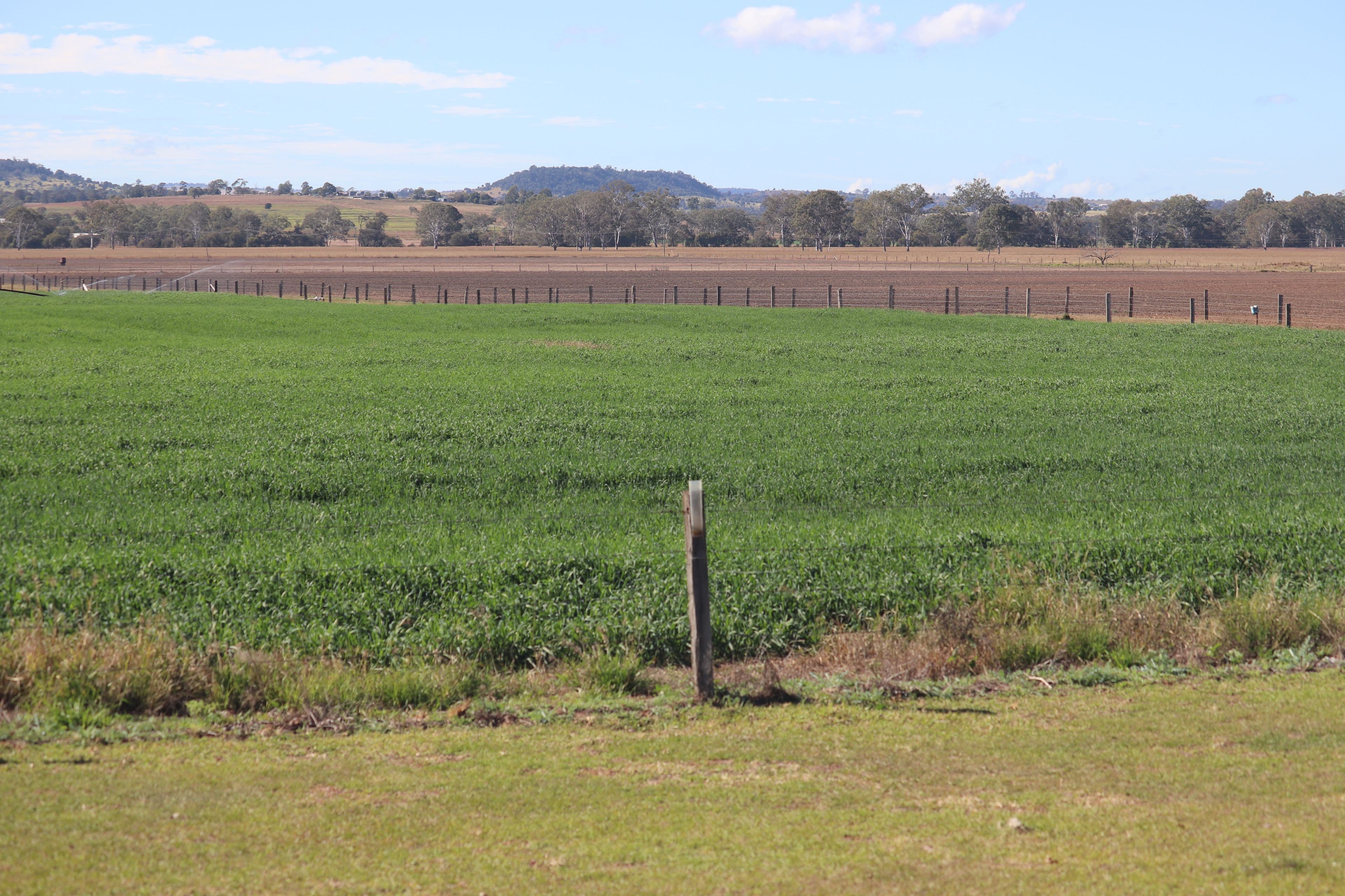 553 Airport Road, Monto QLD 4630, Monto - Thumbnail 3