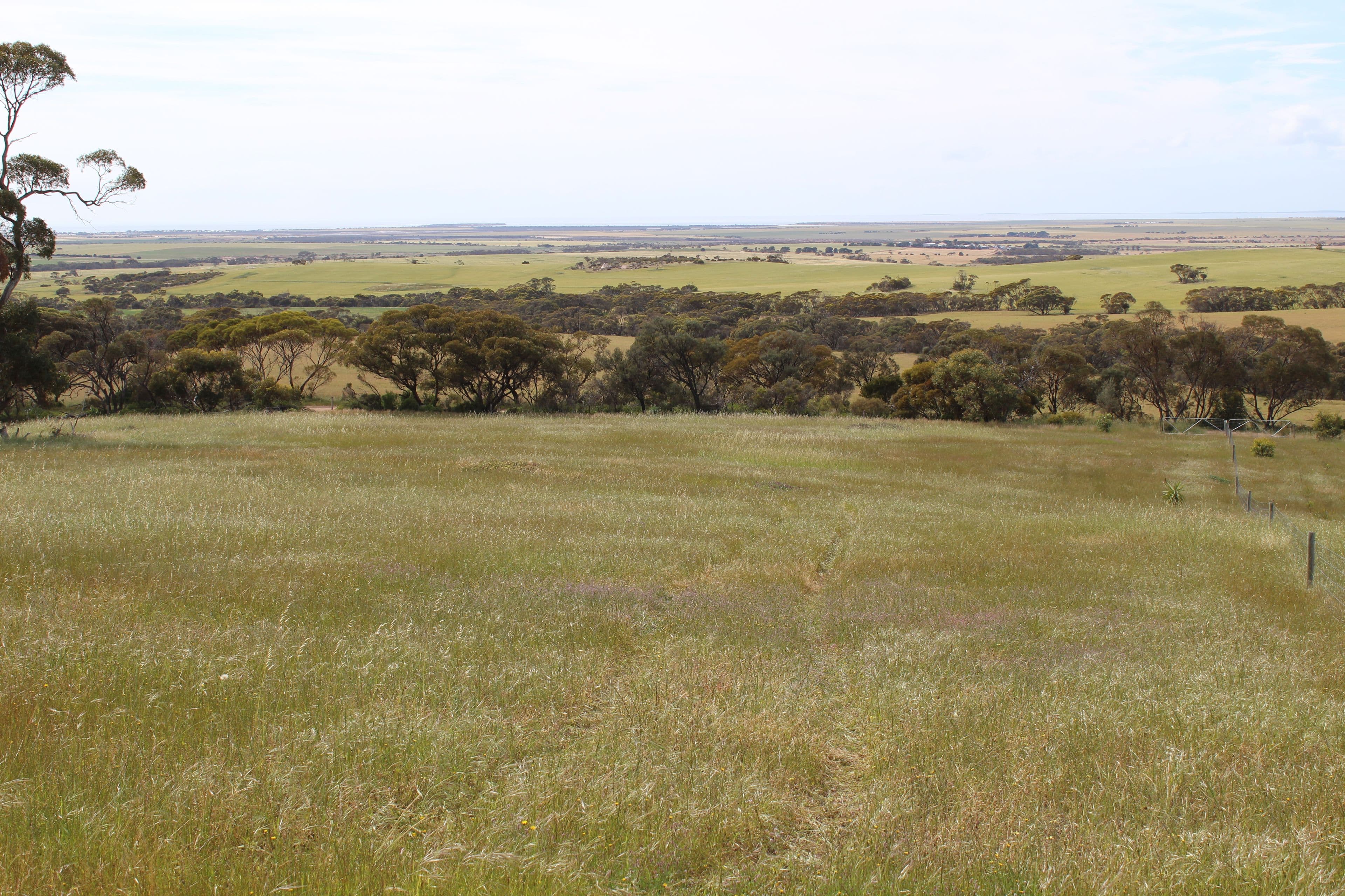 Lot 17 Foothills Road, Tumby Bay SA 5605, Tumby Bay - Thumbnail 2