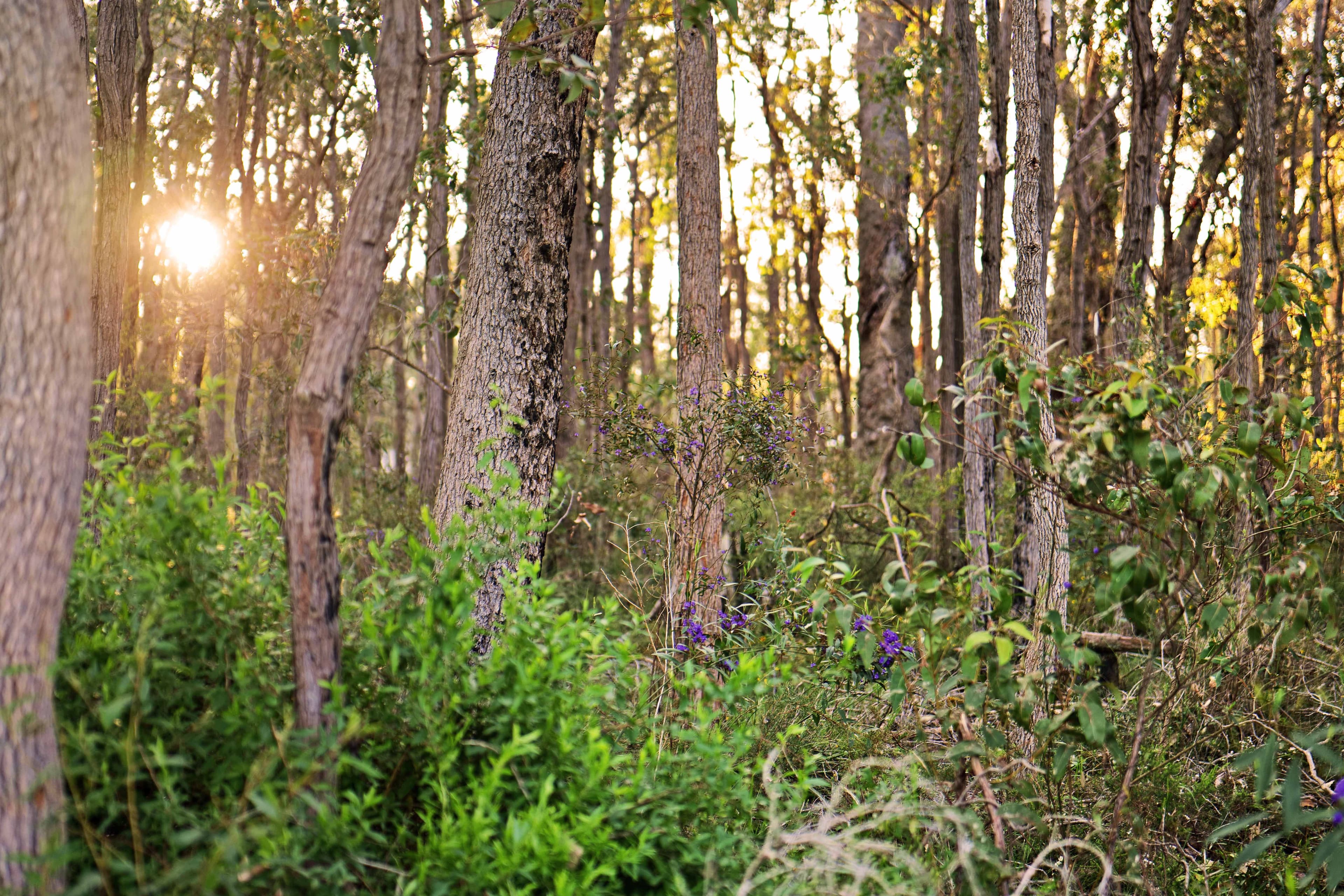 PL 5, 69 Brockman Road, The Hideaway, Cowaramup WA 6284, Cowaramup - Thumbnail 5