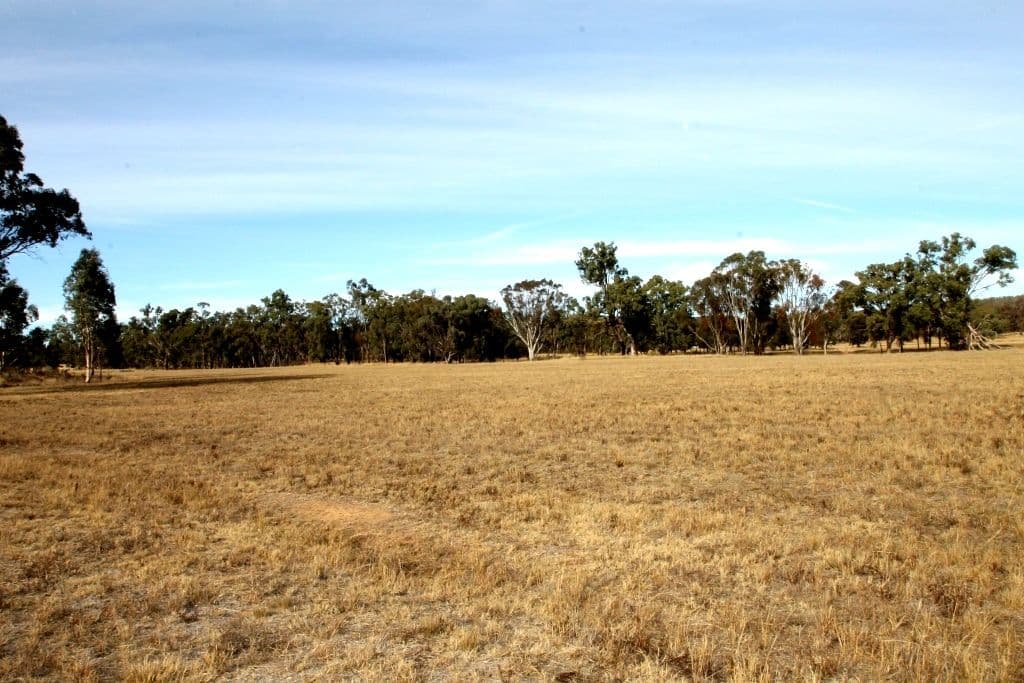 166 Werribee Road, Premer NSW 2381, Premer - Thumbnail 3