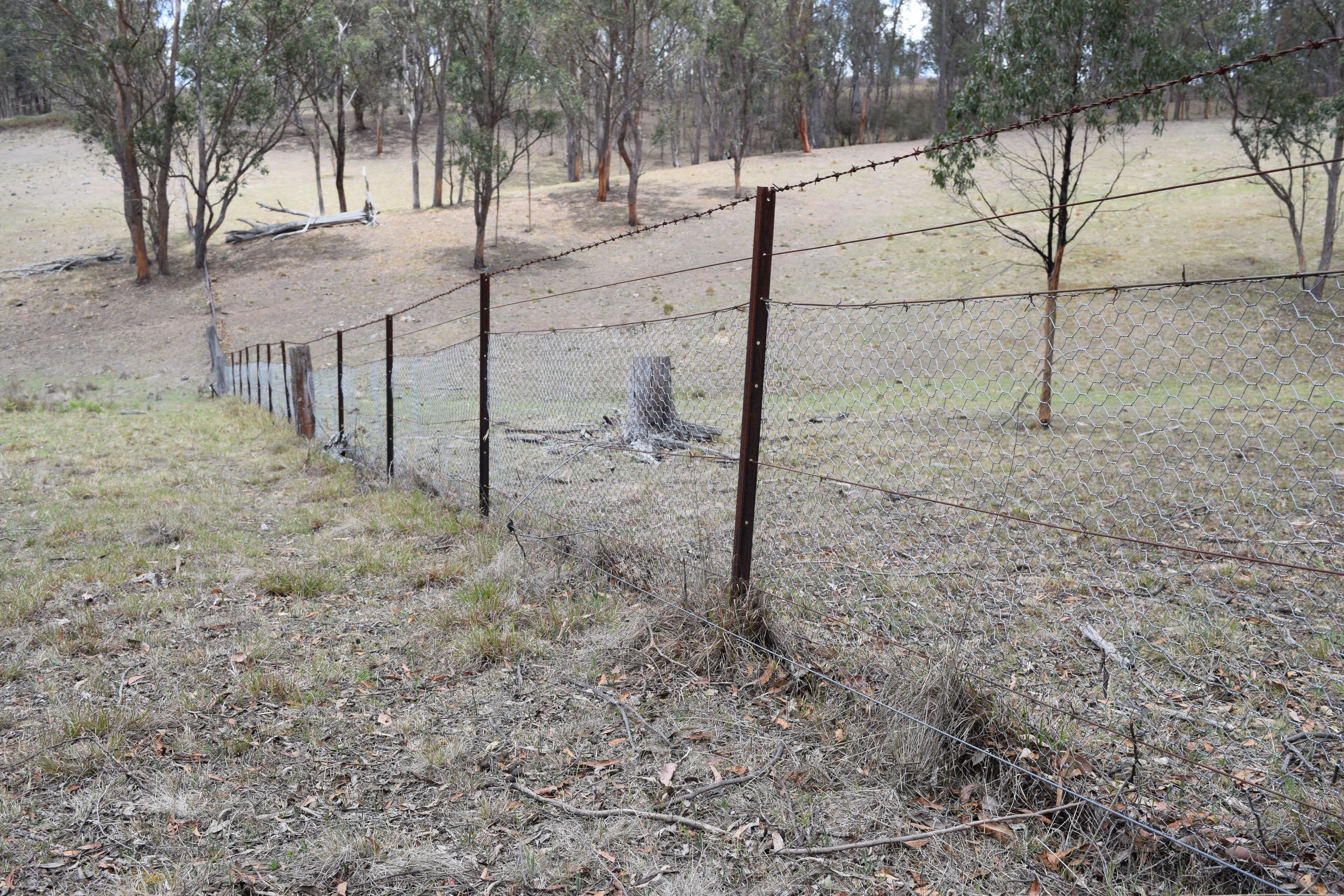 13419 Kempsey Road, Wollomombi NSW 2350, Wollomombi - Thumbnail 4