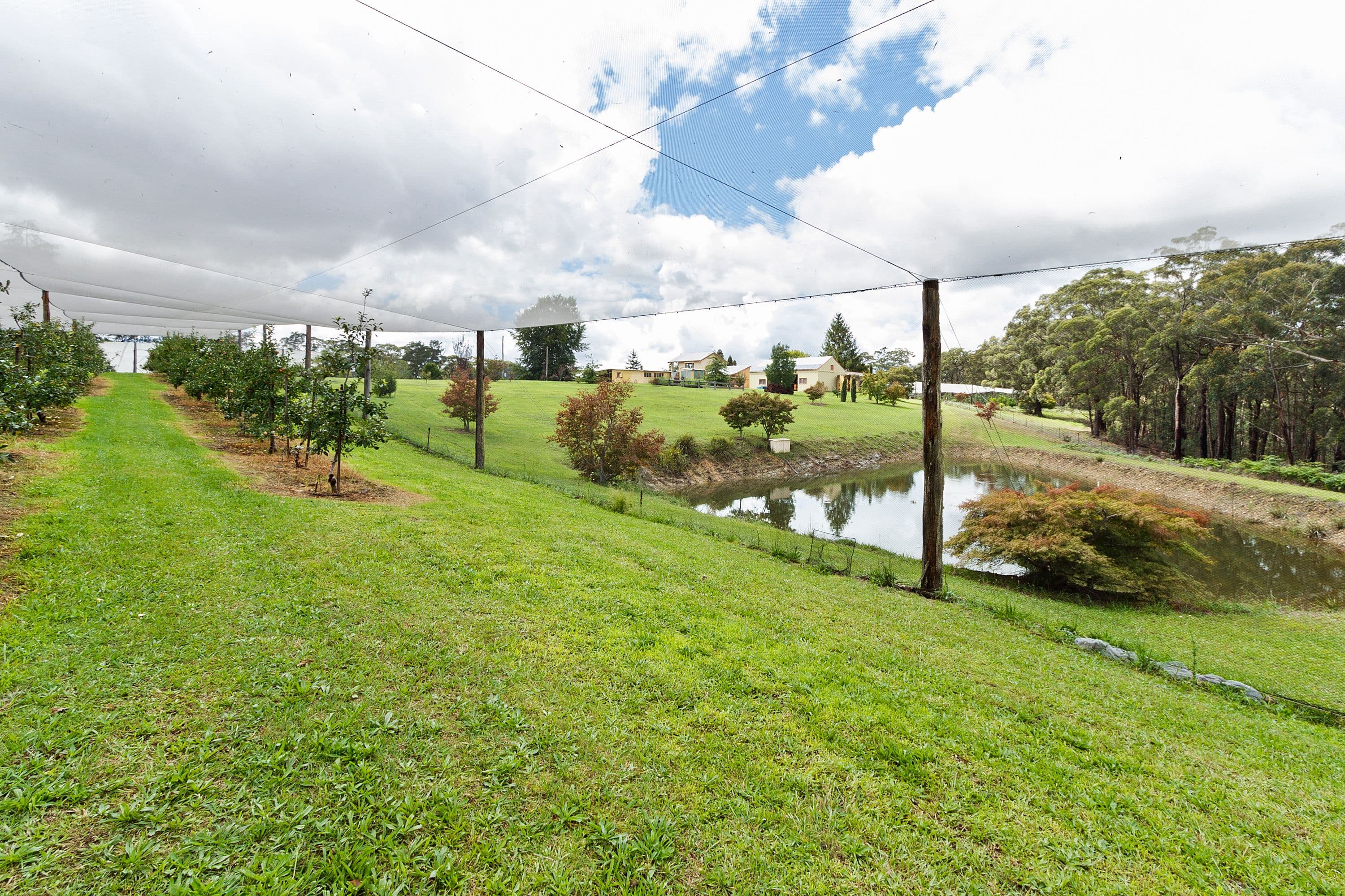 888 Mountain Lagoon Road, Bilpin NSW 2758, Bilpin - Image 1