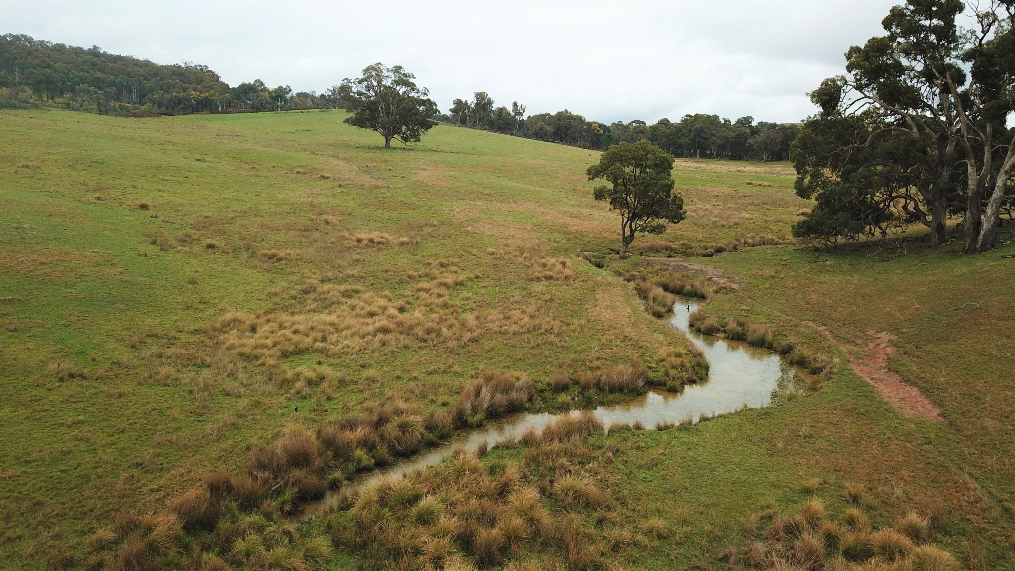 1037 Kangaloolah Road, Crookwell NSW 2583, Crookwell - Thumbnail 4