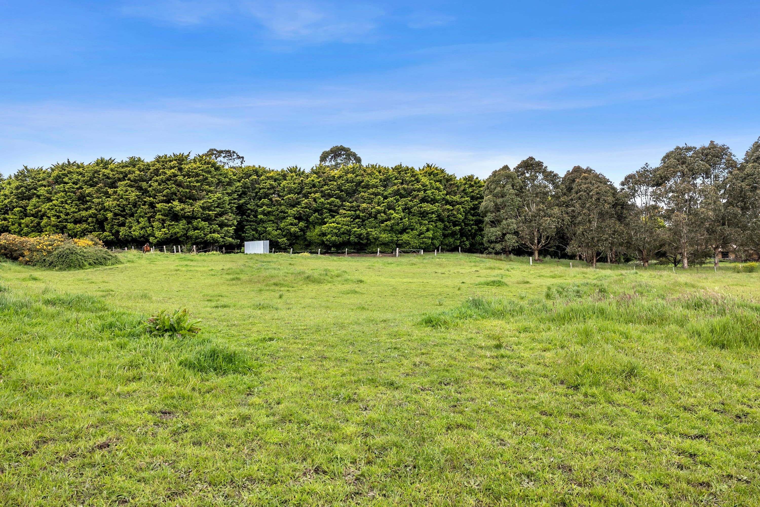 6 Jones Street, Brown Hill  Victoria  3350, Australia, Brown Hill - Thumbnail 5