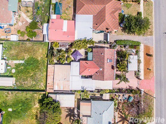 8 Lantana Street, Rangeway WA 6530, Rangeway - Thumbnail 6