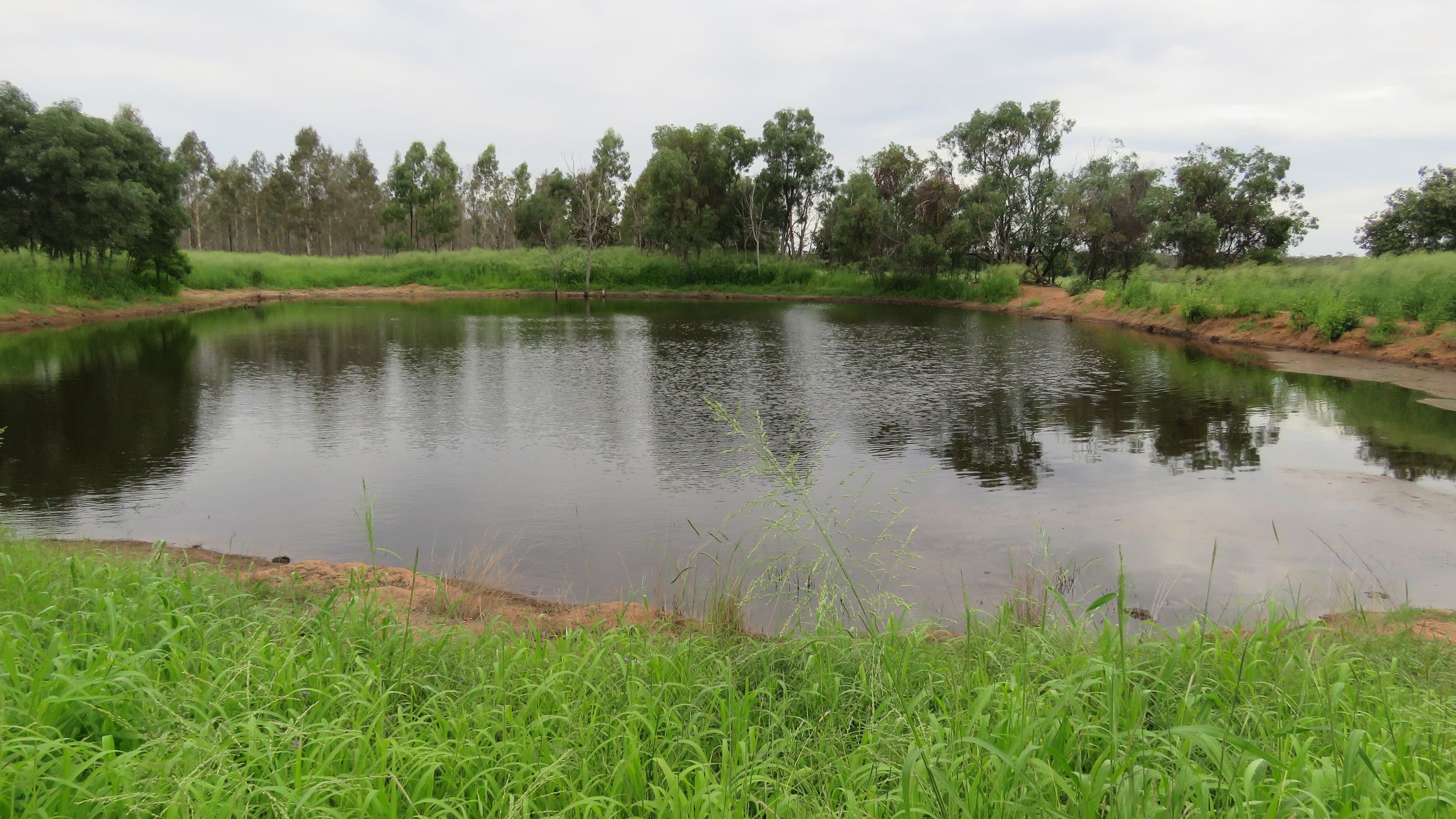 Lot 23 & 24 Proston Boondooma Road, Brigooda, Proston QLD 4613, Proston - Thumbnail 2
