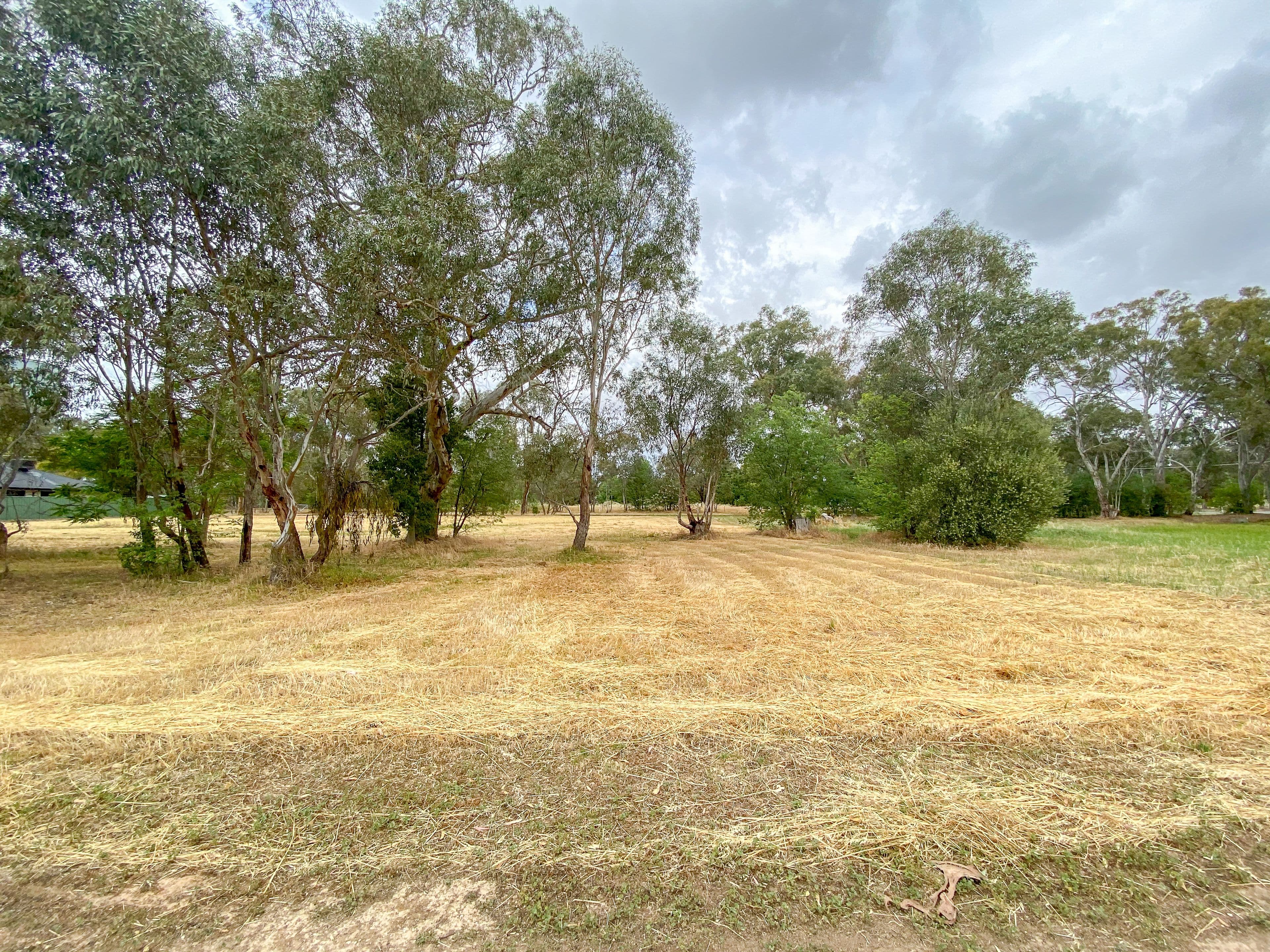 16 Emily Court, Howlong NSW 2643, Howlong - Thumbnail 2