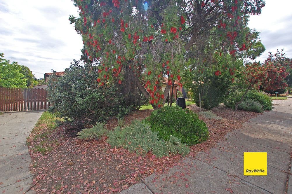 53 Duggan Street, Calwell ACT 2905, Calwell - Thumbnail 4