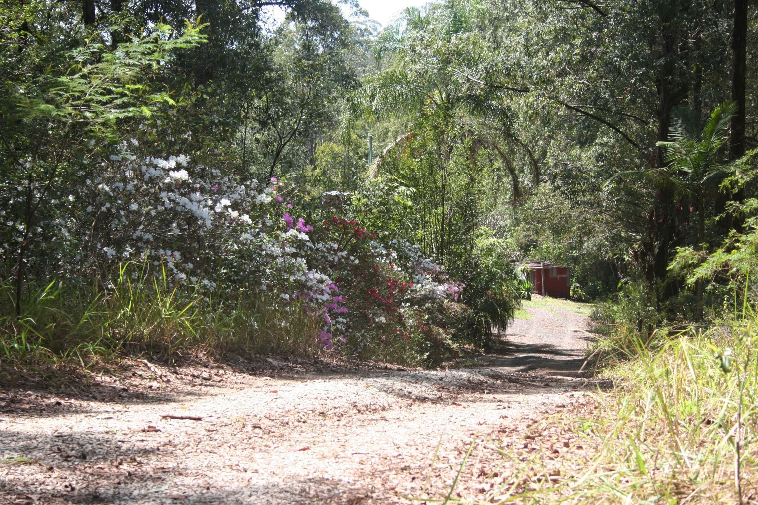 139 Hennesseys Lane, Bellingen NSW 2454, Bellingen - Thumbnail 3